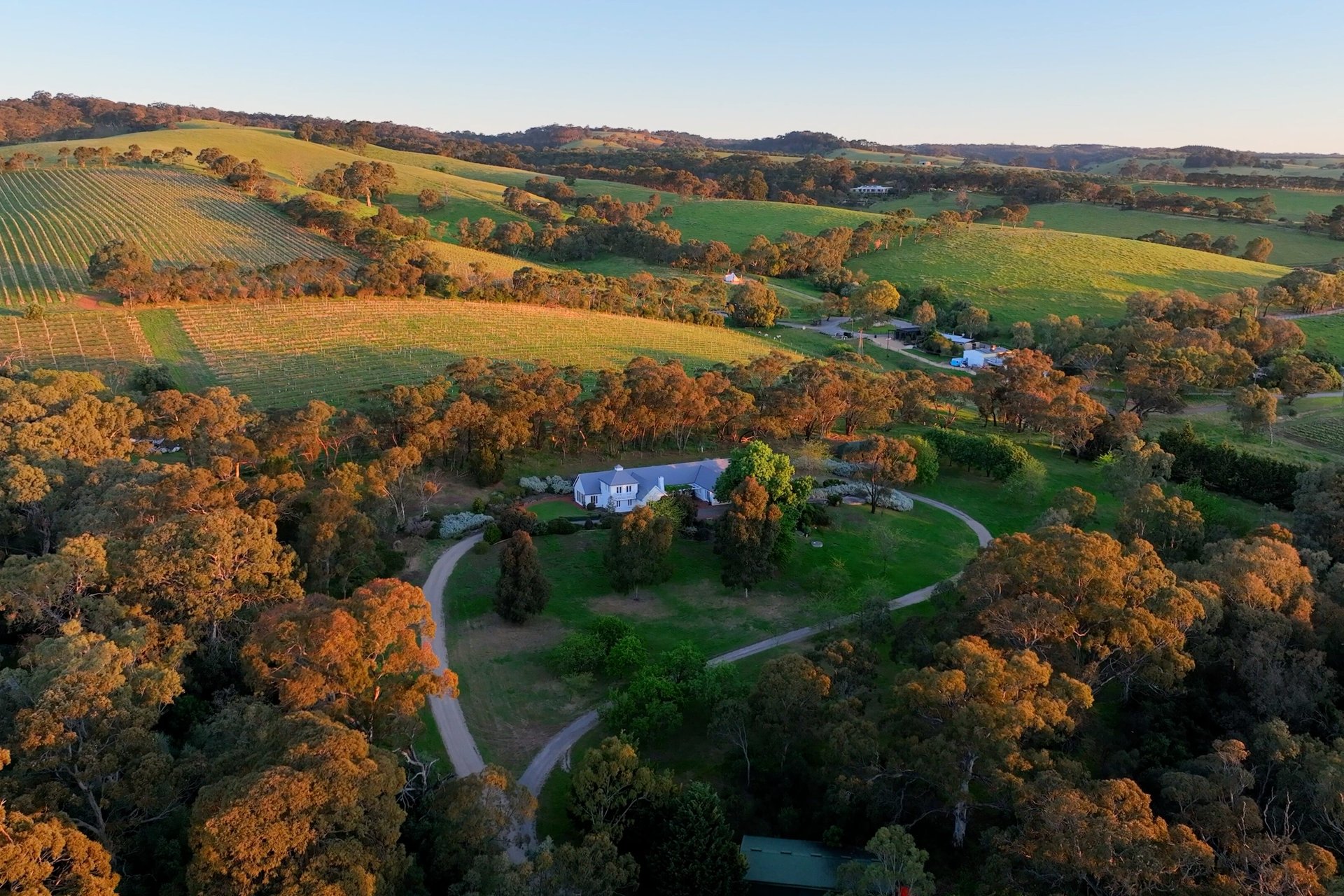Forty One Pennys Hill Road, McLaren Vale For Sale by Giordano & Partners