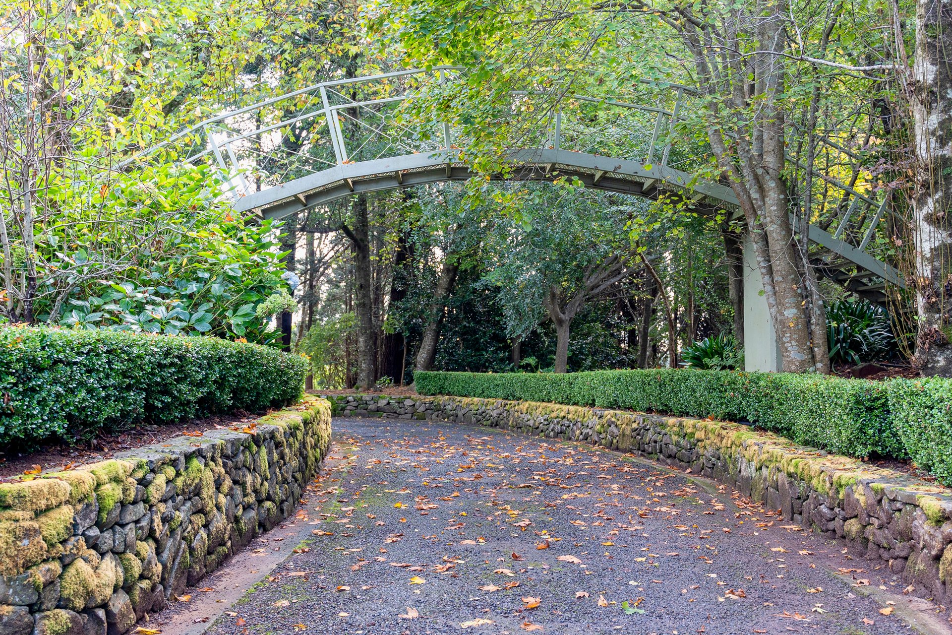 101 Pearsons Lane, Robertson For Sale by Sydney Sotheby's International Realty - image 26
