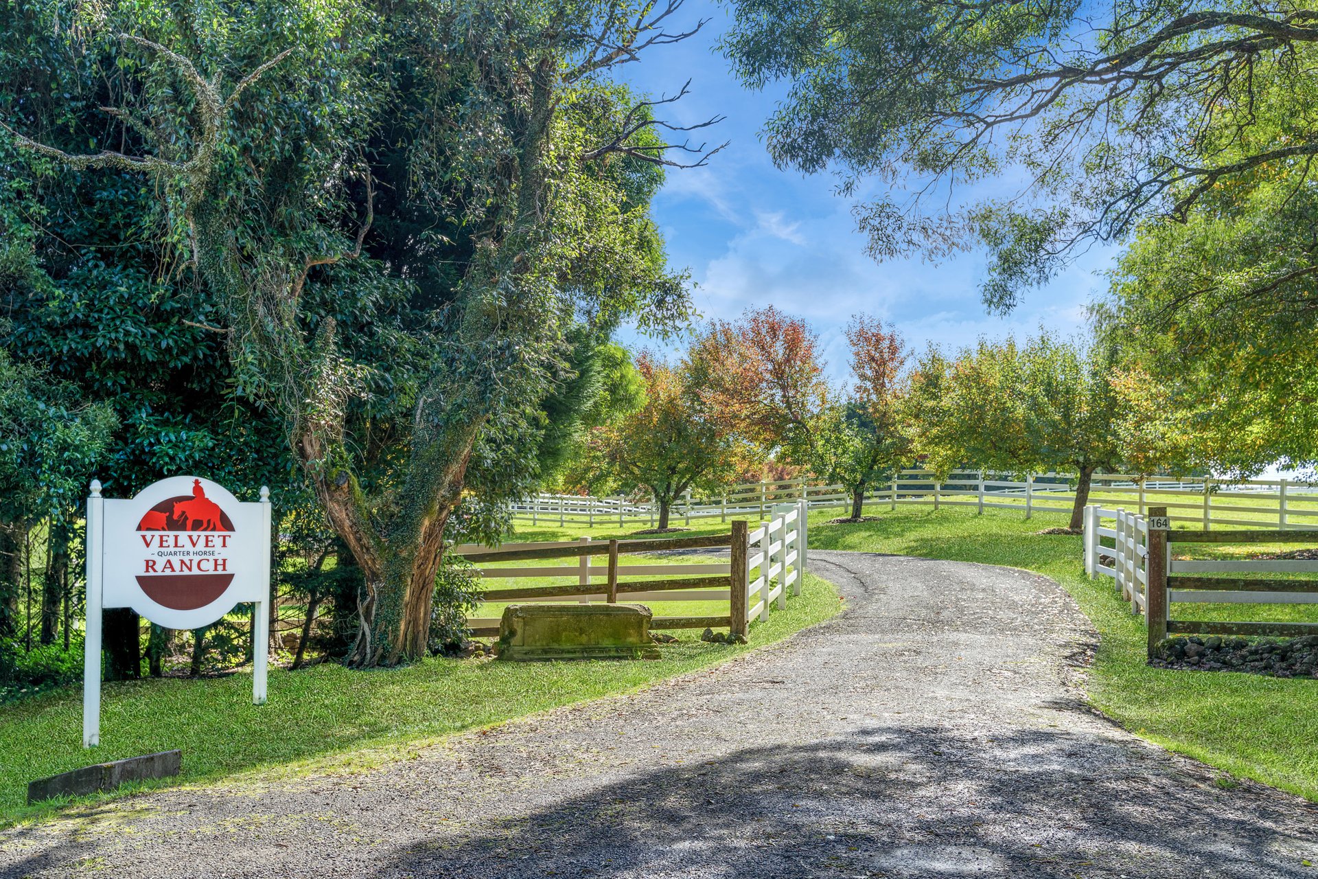 101 Pearsons Lane, Robertson For Sale by Sydney Sotheby's International Realty - image 27