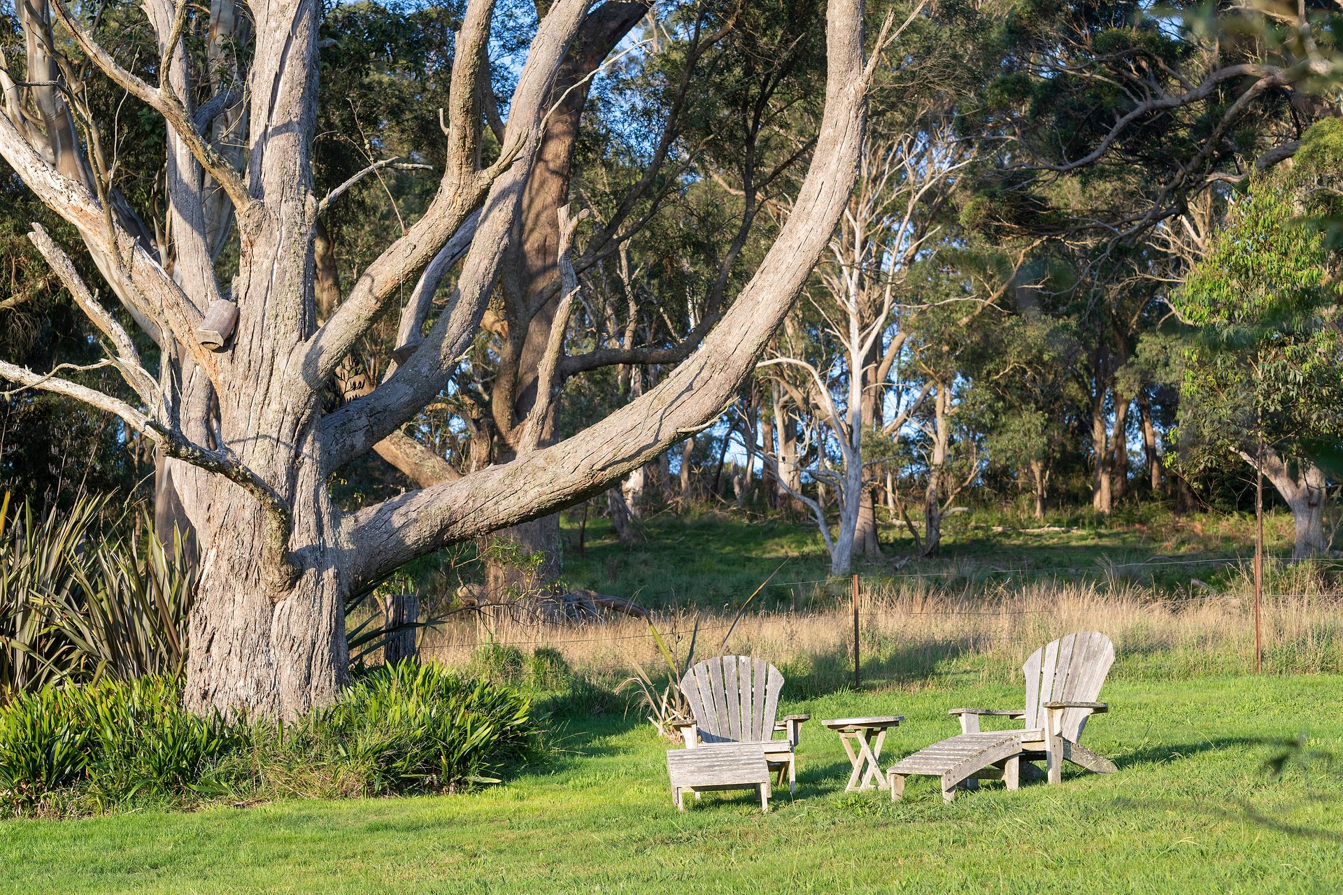 13 Carisbrooke Row, Bowral For Sale by Sydney Sotheby's International Realty - image 21