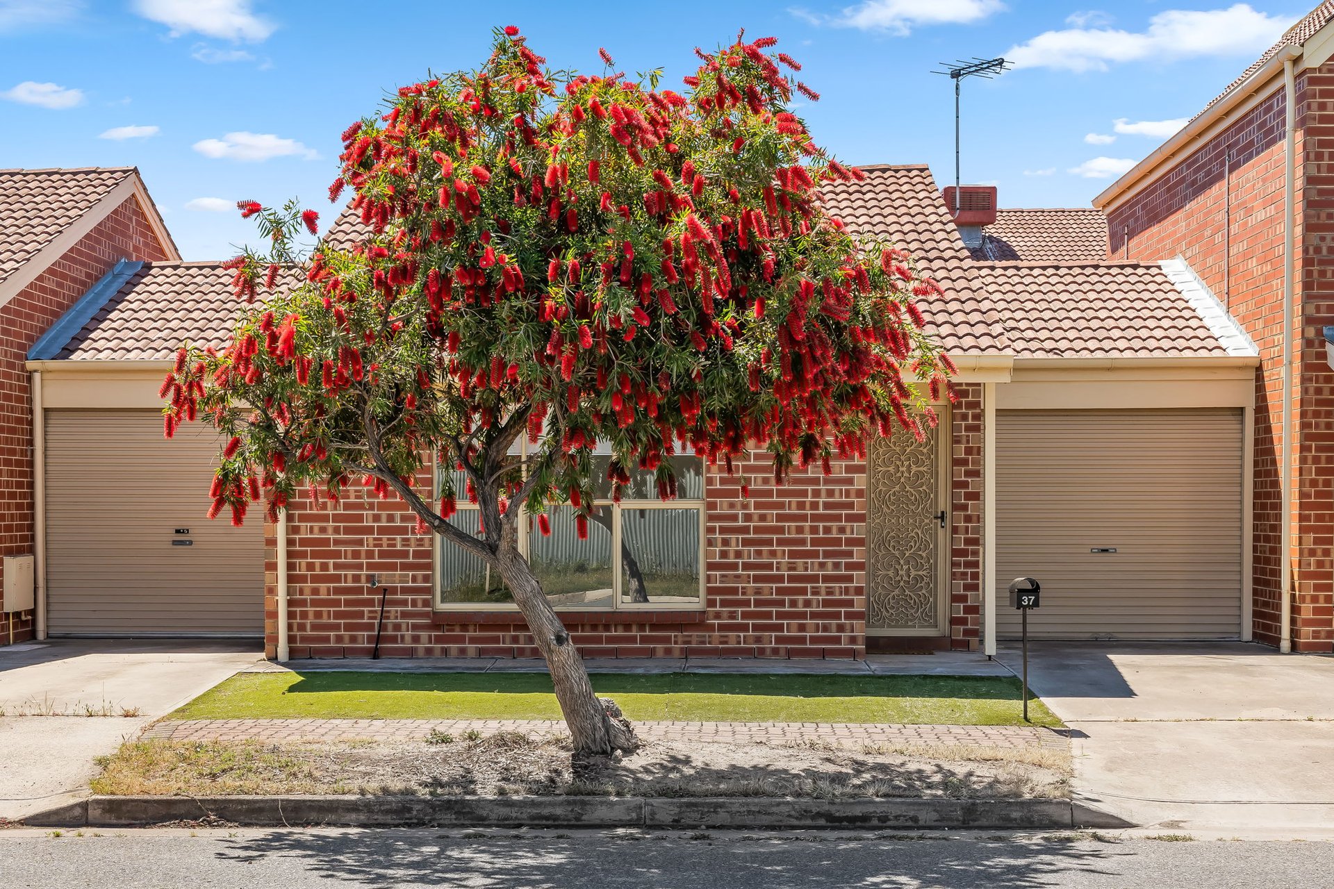 37 Olive Street, Largs Bay