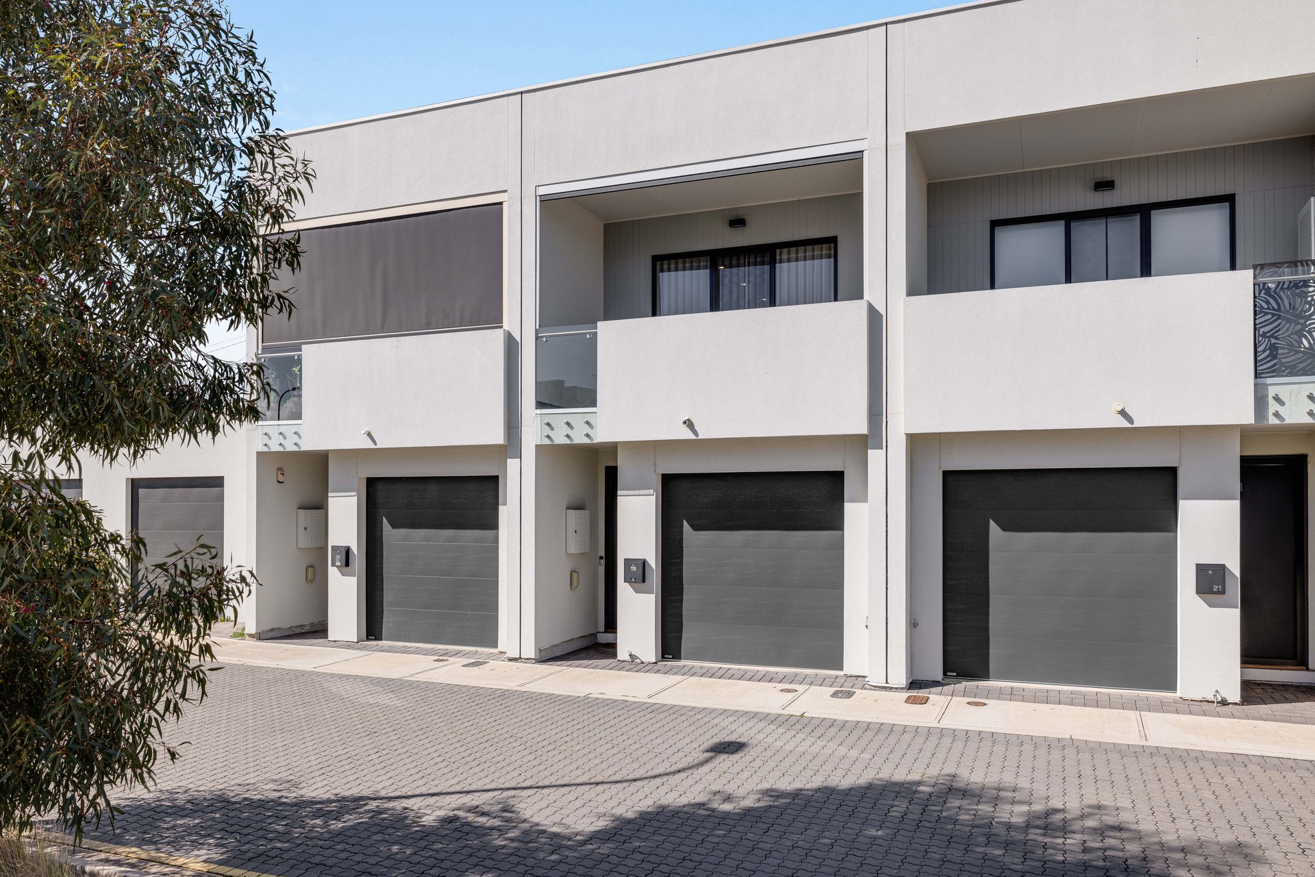 19 Ambleside Place, Morphettville