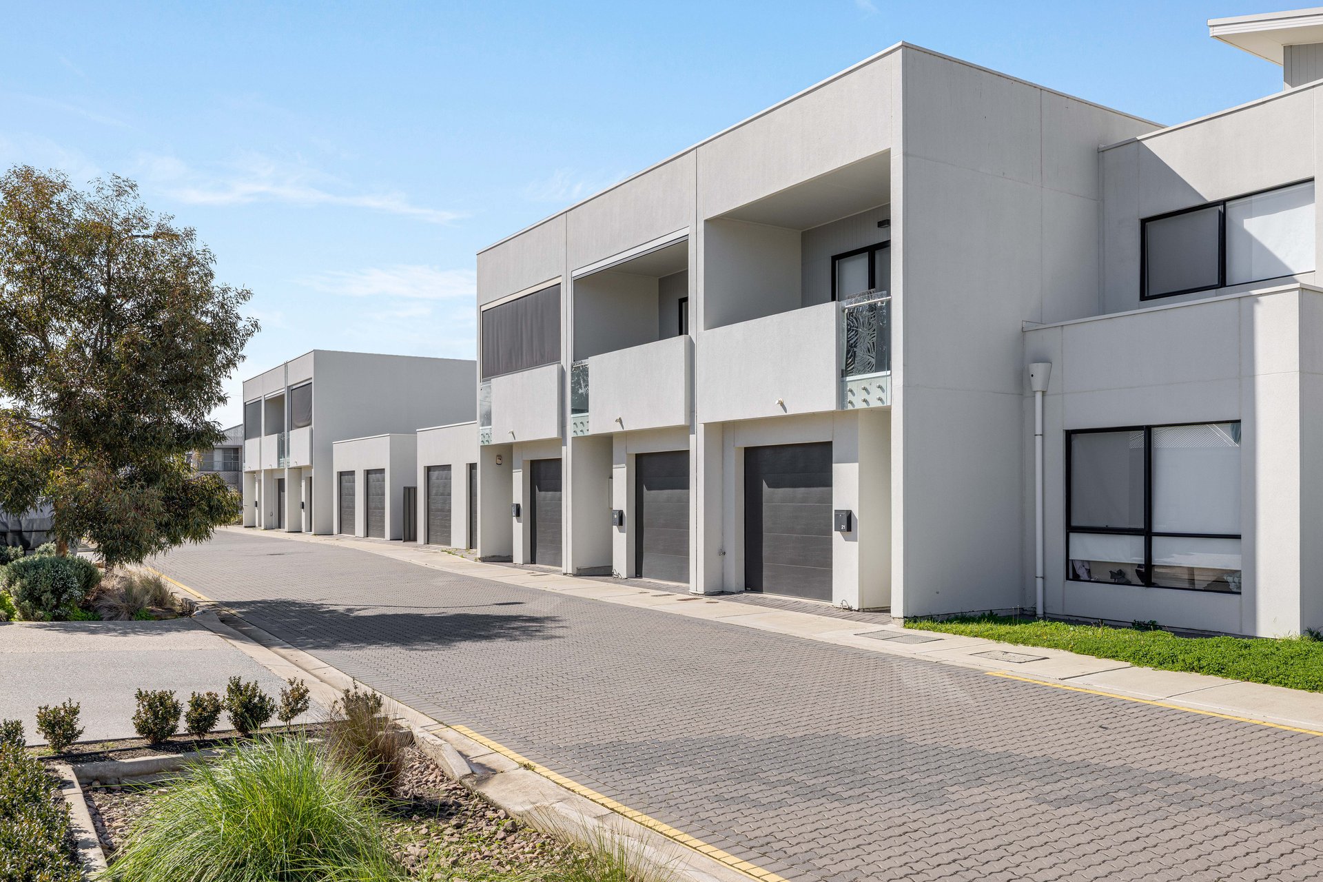 19 Ambleside Place, Morphettville