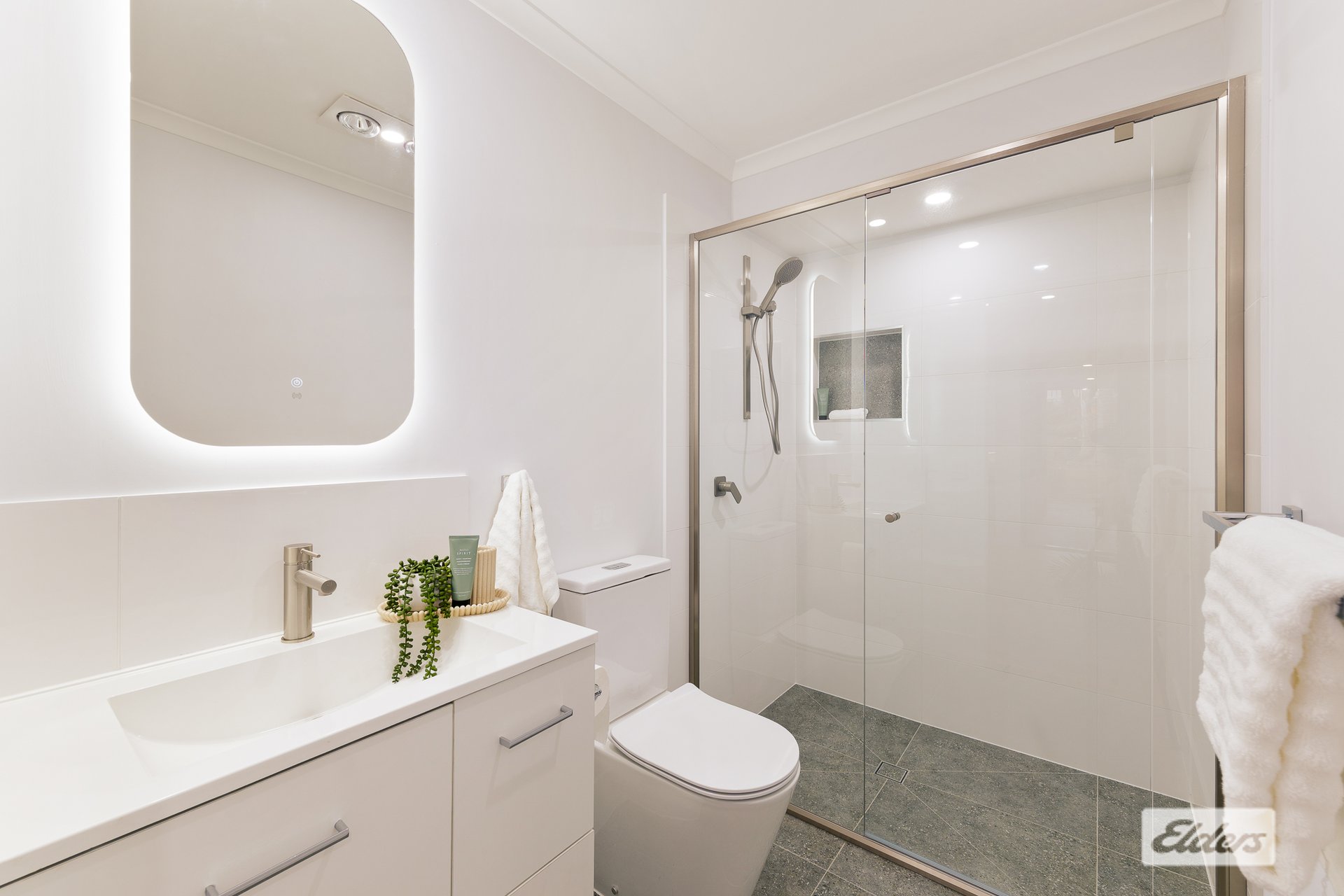 8 Erasmus Street — photo 10 of 10