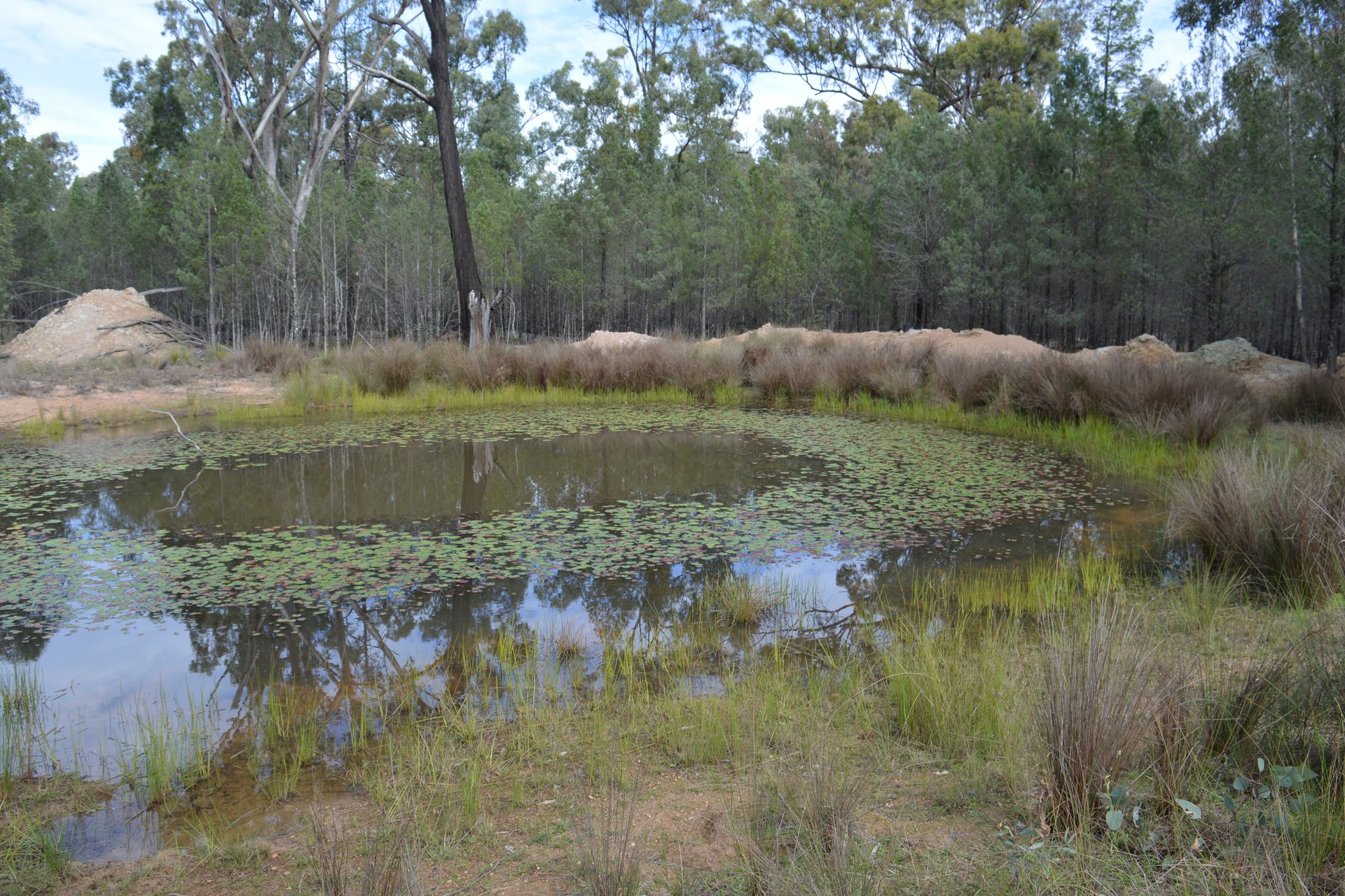 Lot 17 Tin Hut Road, Inglewood, QLD, 4387