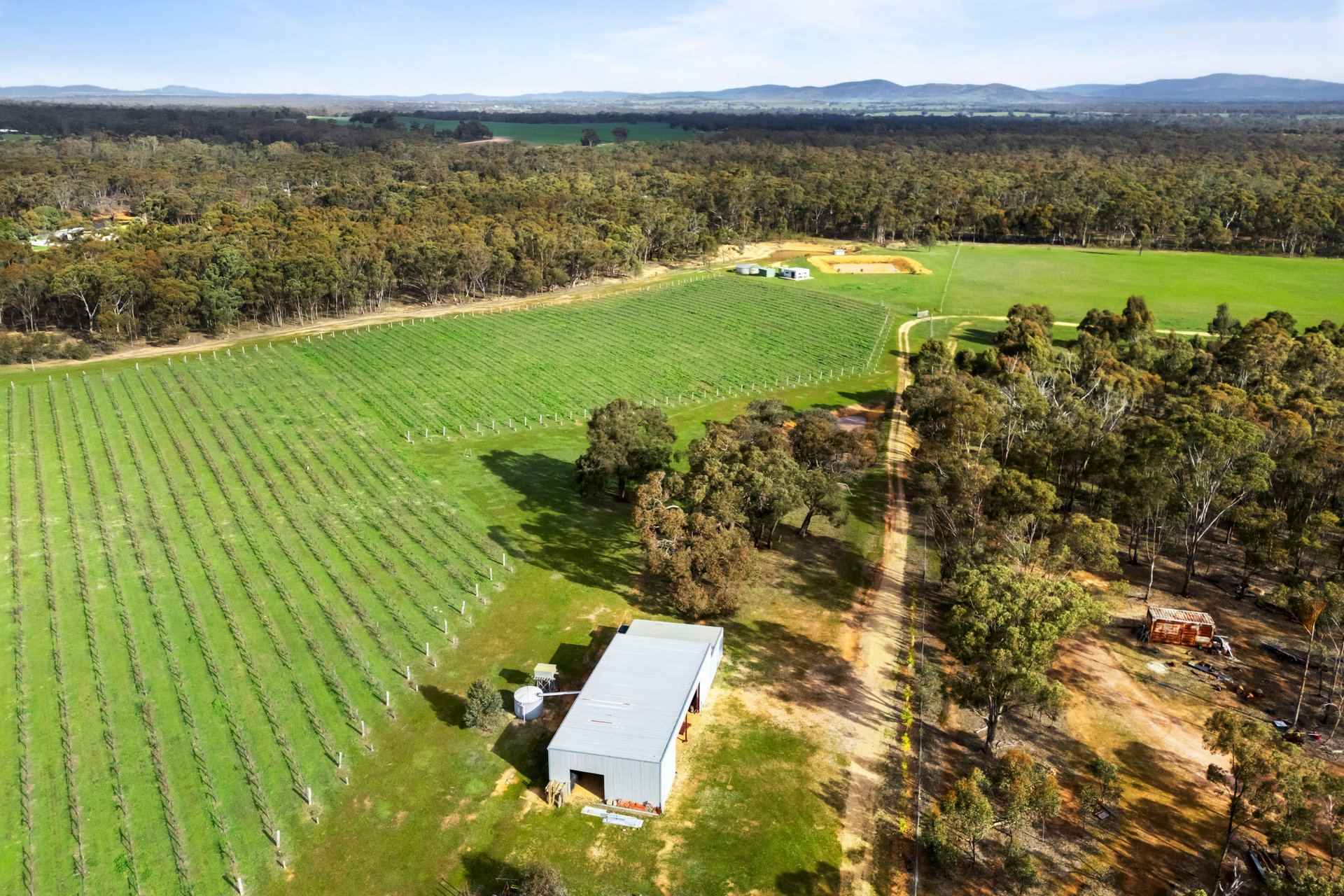 20 Morris Lane, Avoca, VIC, 3467