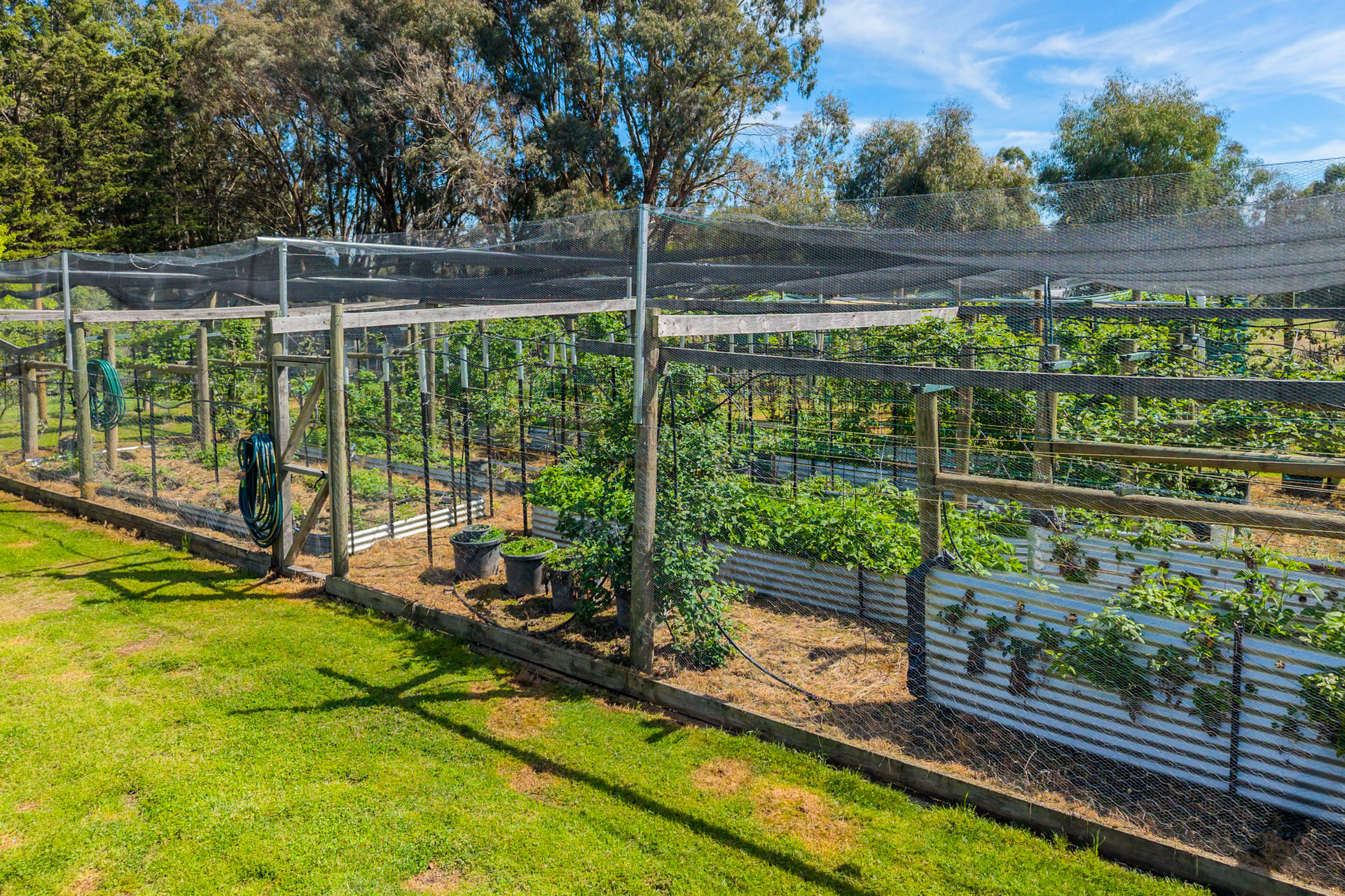 97 Highton Lane — photo 3 of 10