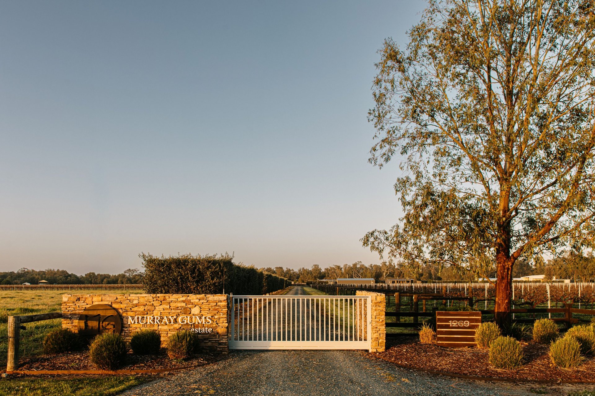 'Murray Gums'  1269 Perricoota Road, Moama, NSW, 2731