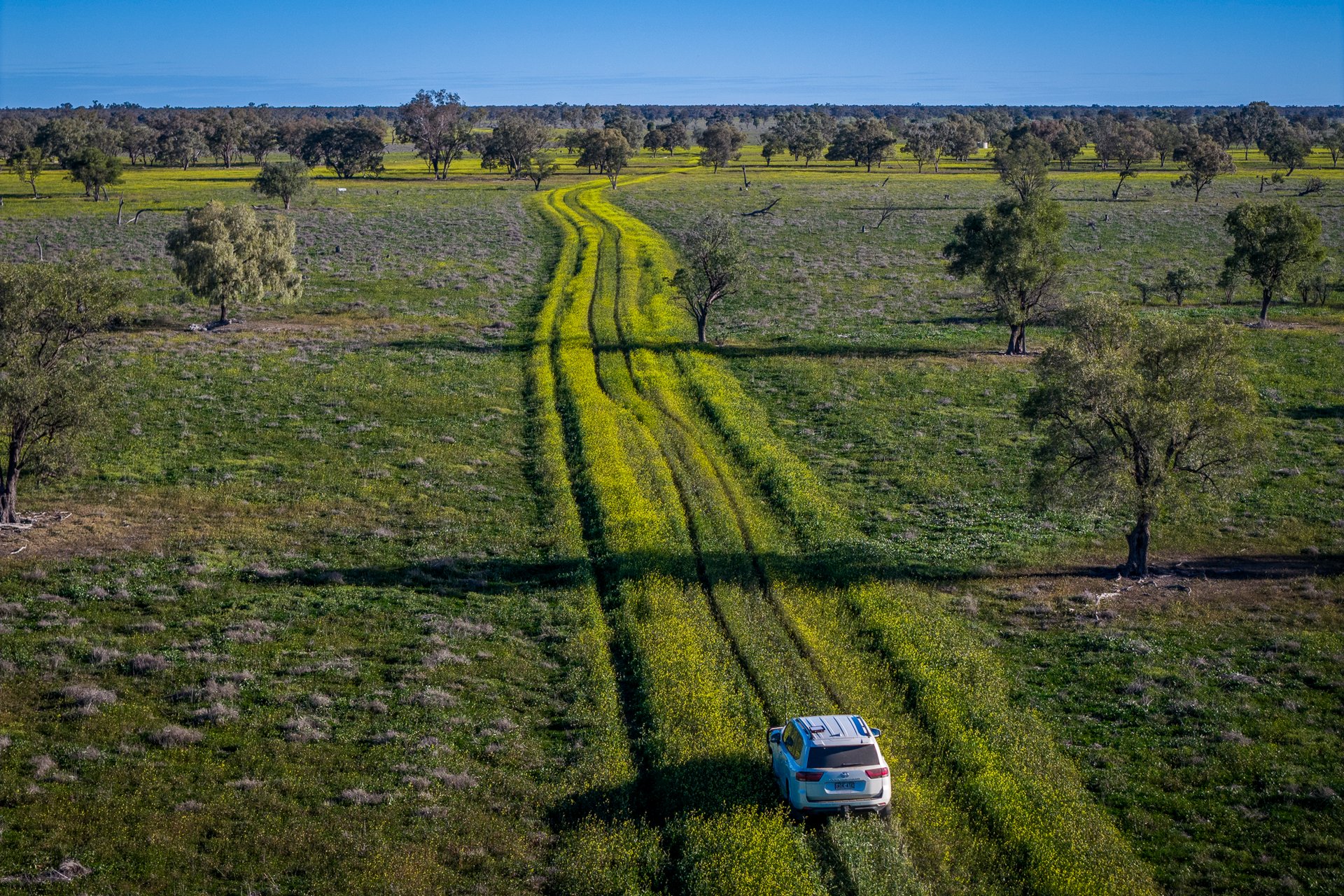 1744 Cumberdoon Way, Walgett, NSW, 2832