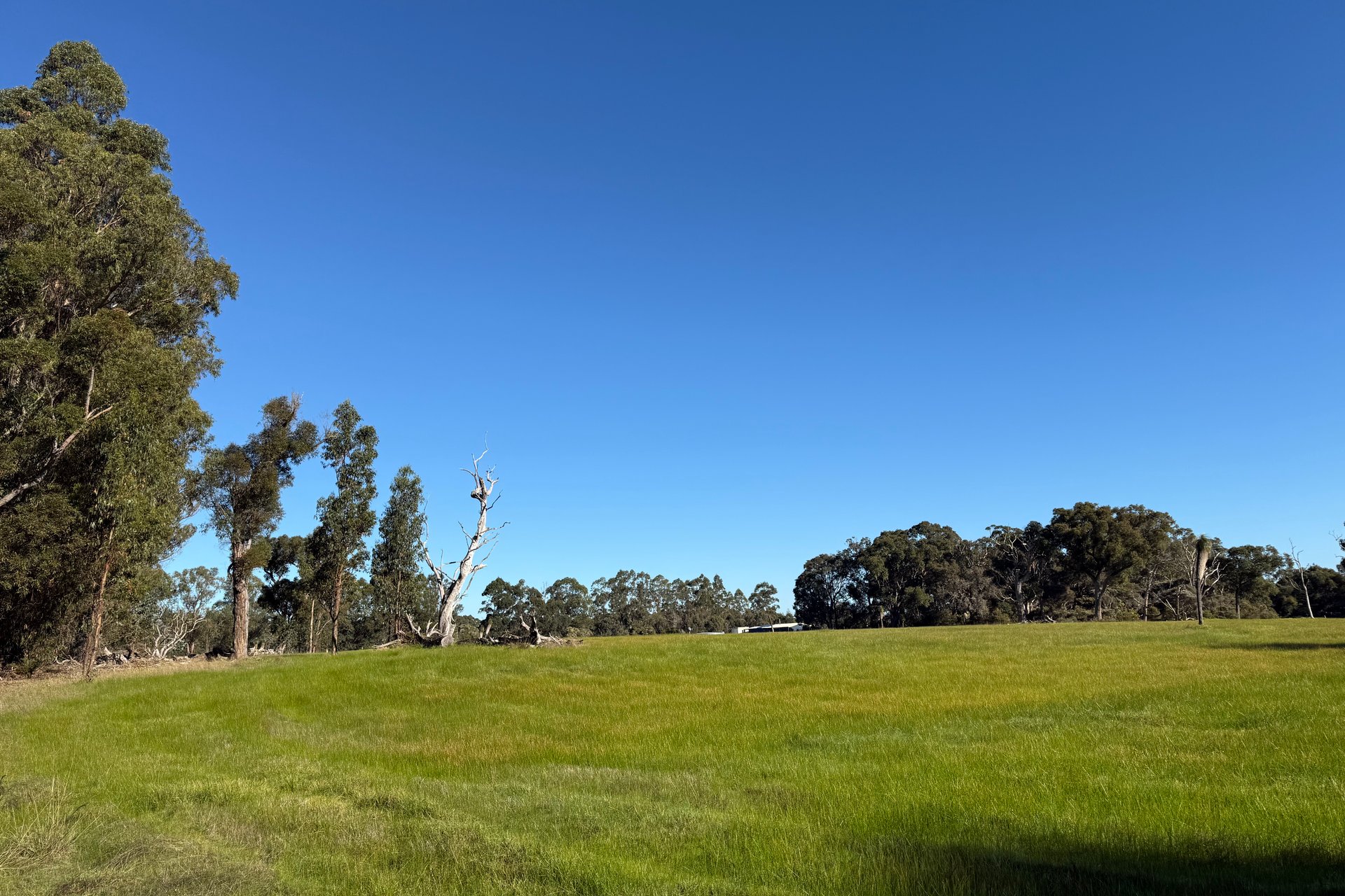 16/Norna Drive, Crowea, WA, 6262