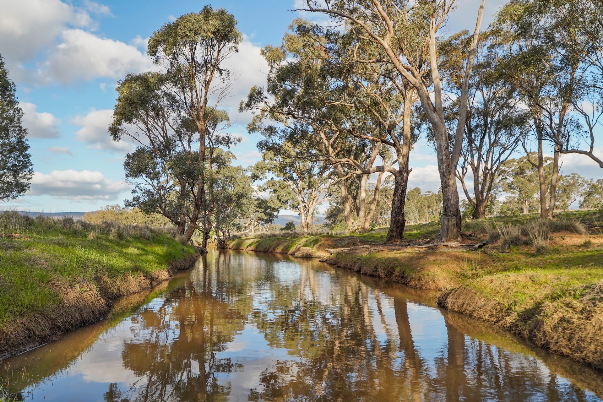 248 Houplines Road, Peak Hill, NSW, 2869