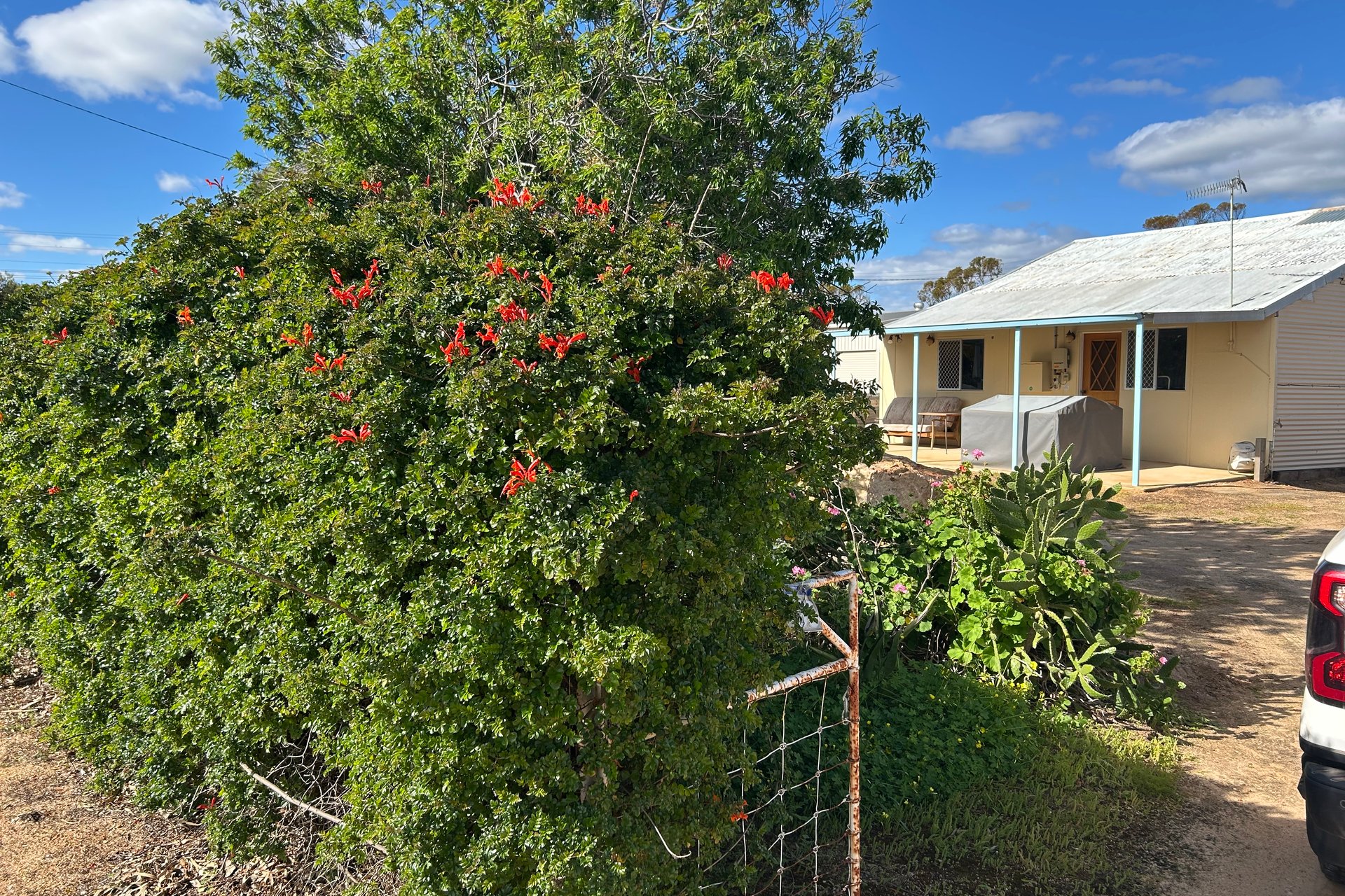 35 Allenby Street, Koorda, WA, 6475
