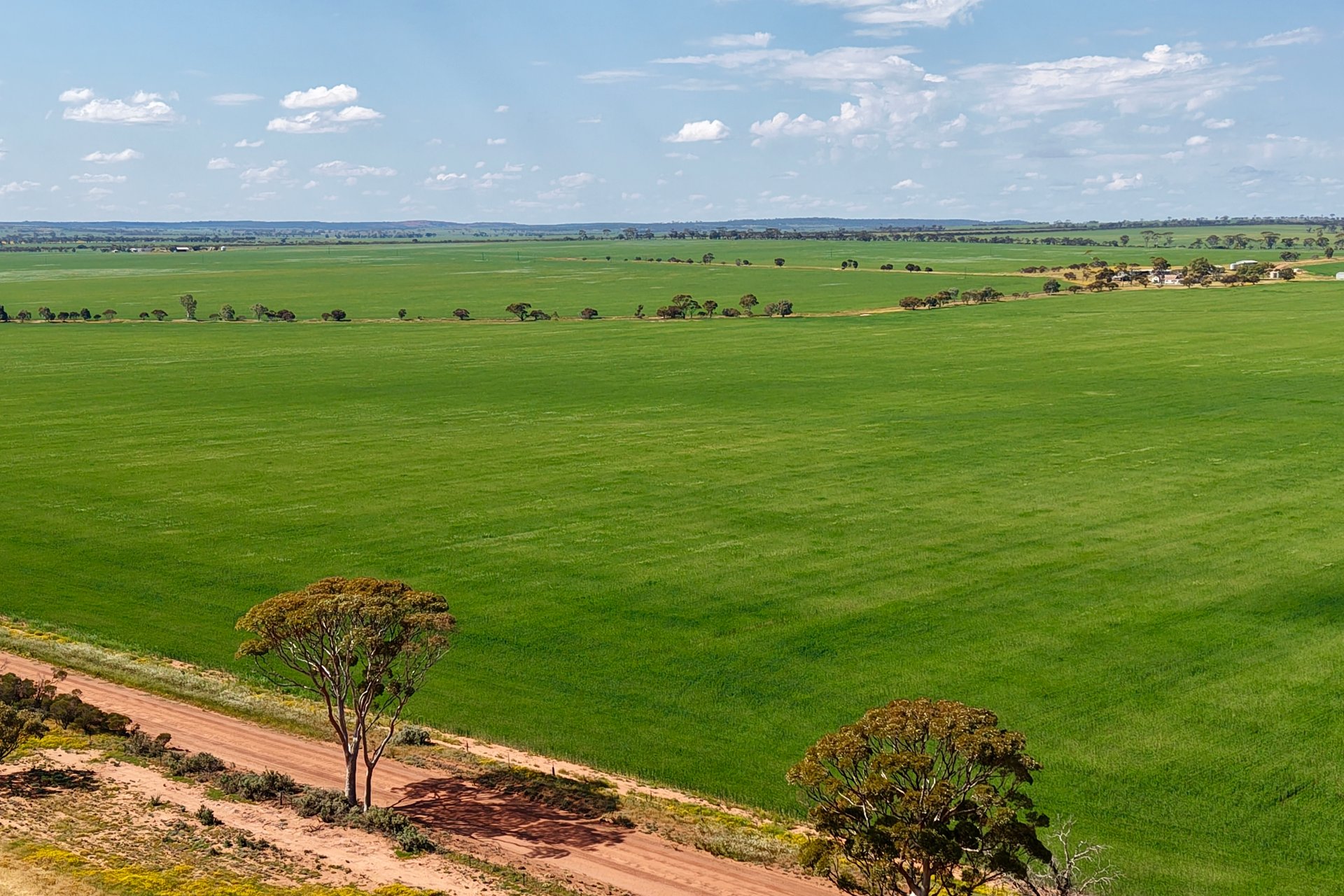 1759 Nungarin-Wyalkatchem Road, South Kununoppin, WA, 6489