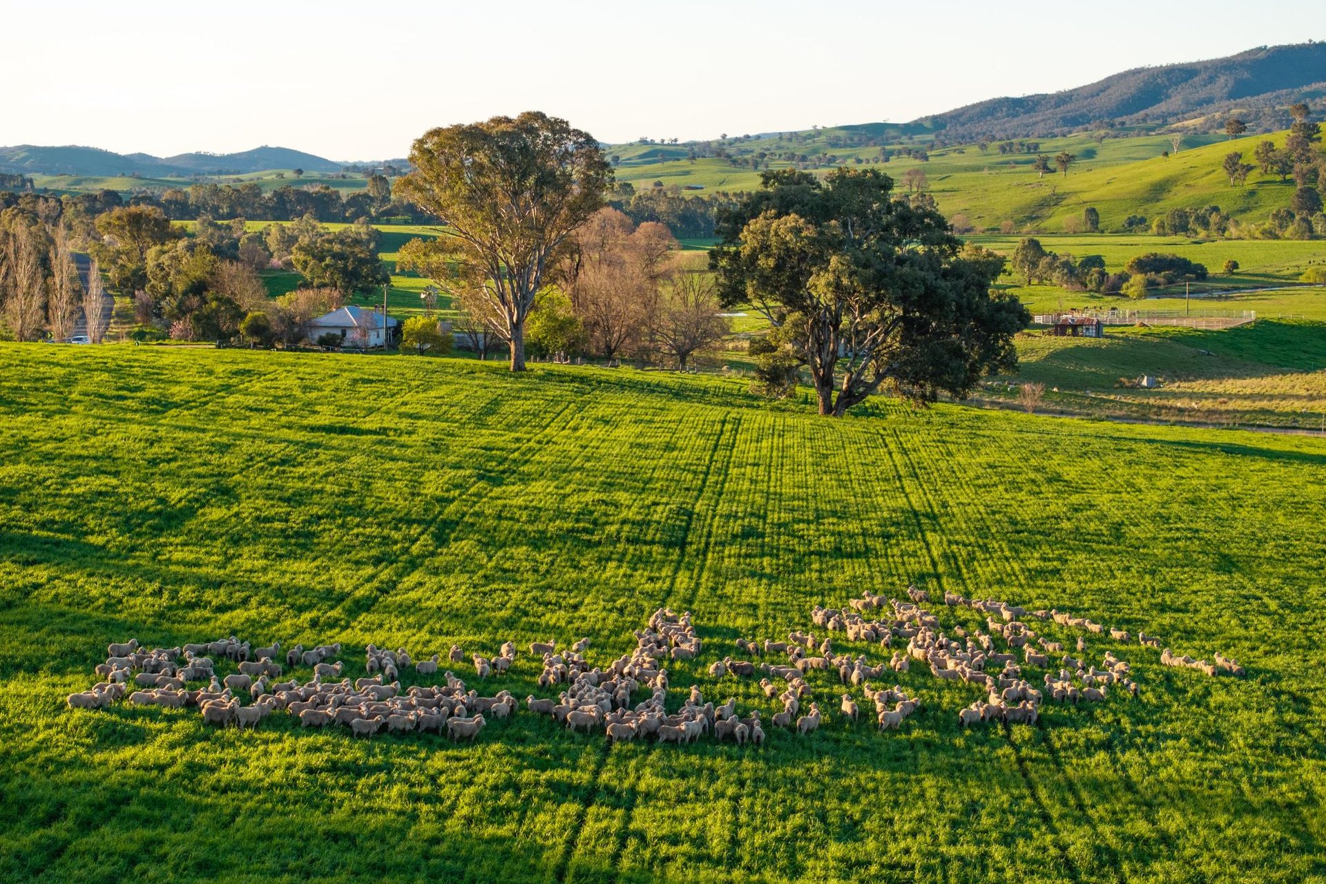 922 Westbrook Road, Oberne Creek, NSW, 2650