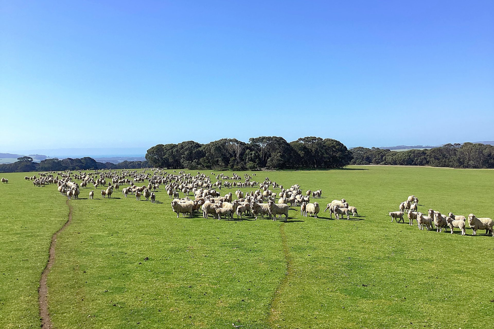 1730 Willson River Road, Porky Flat, SA, 5222