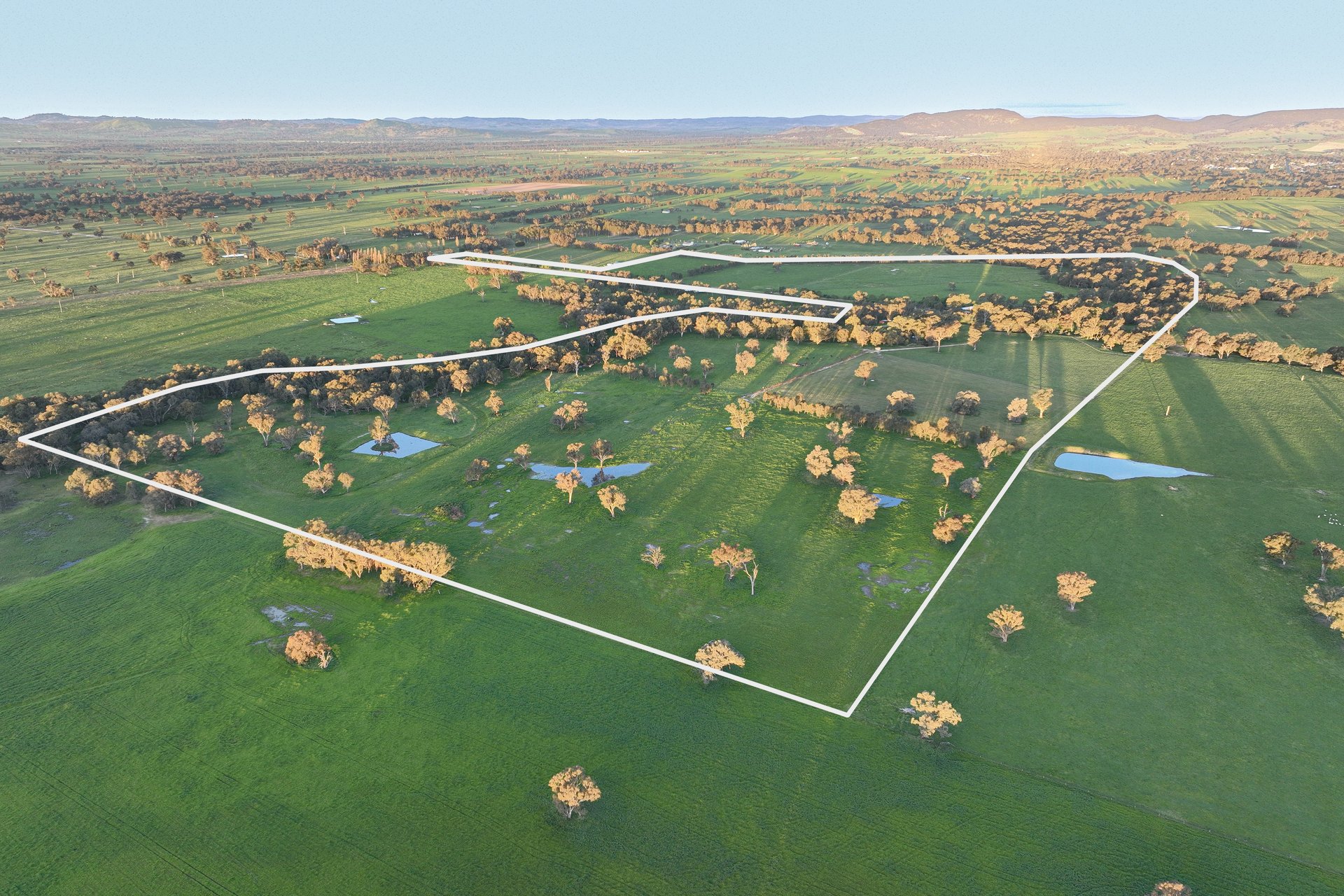547 Culcairn Holbrook Road, Holbrook, NSW, 2644