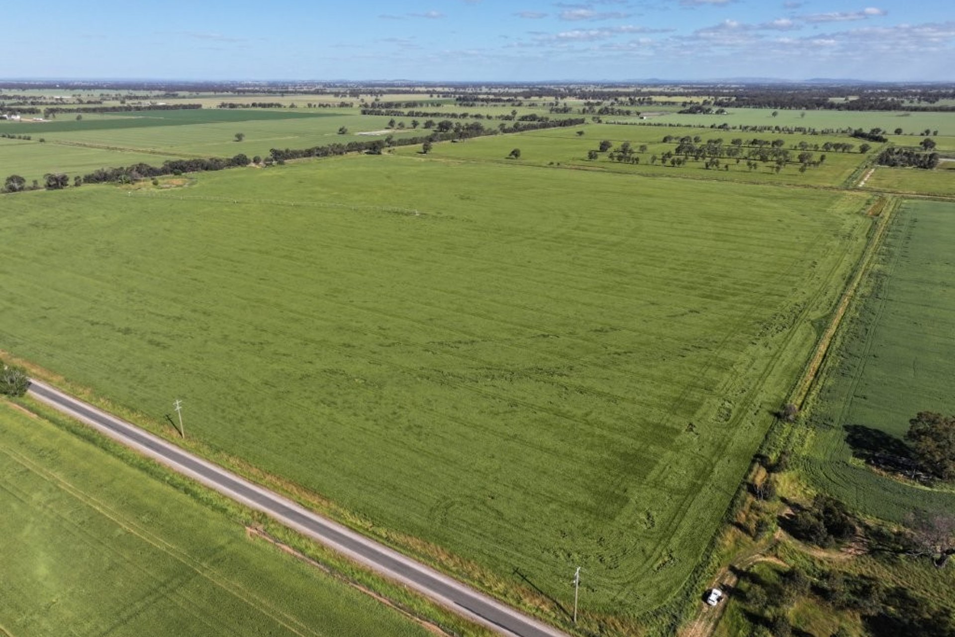 Murray River Land Pty Ltd - Southern Hub, 2448 Labuan Road, Katamatite, VIC, 3649