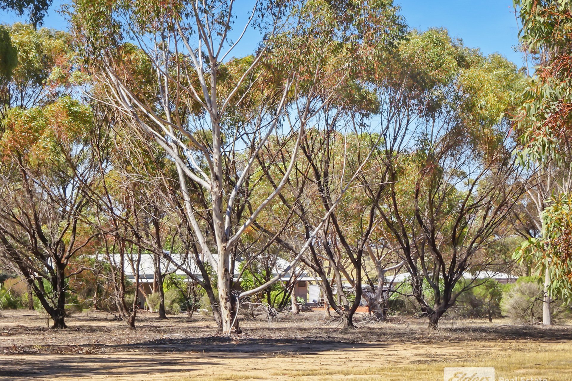 932 Brookton-Kweda Road, Brookton, WA, 6306