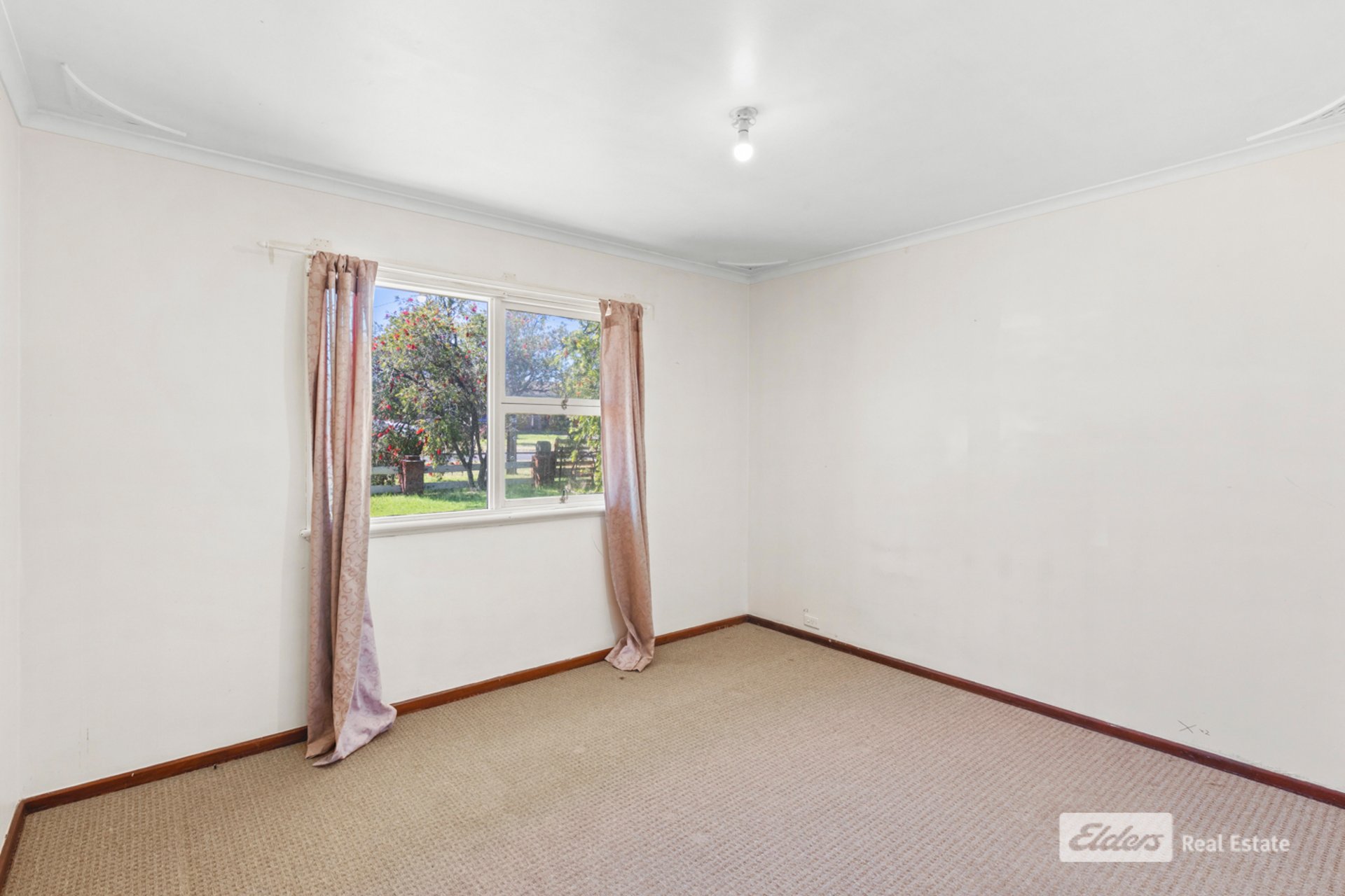8 Leonora Street — photo 8 of 10