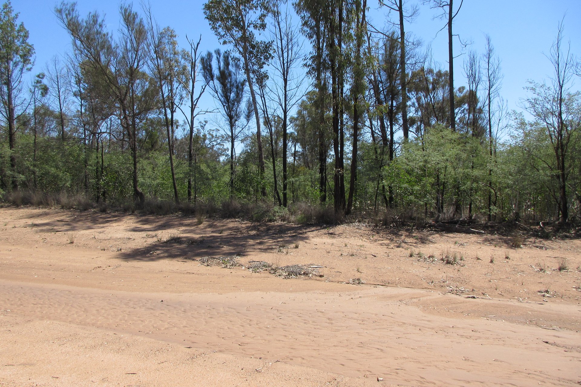 Lot 77 Orchard Road, Tara, QLD, 4421