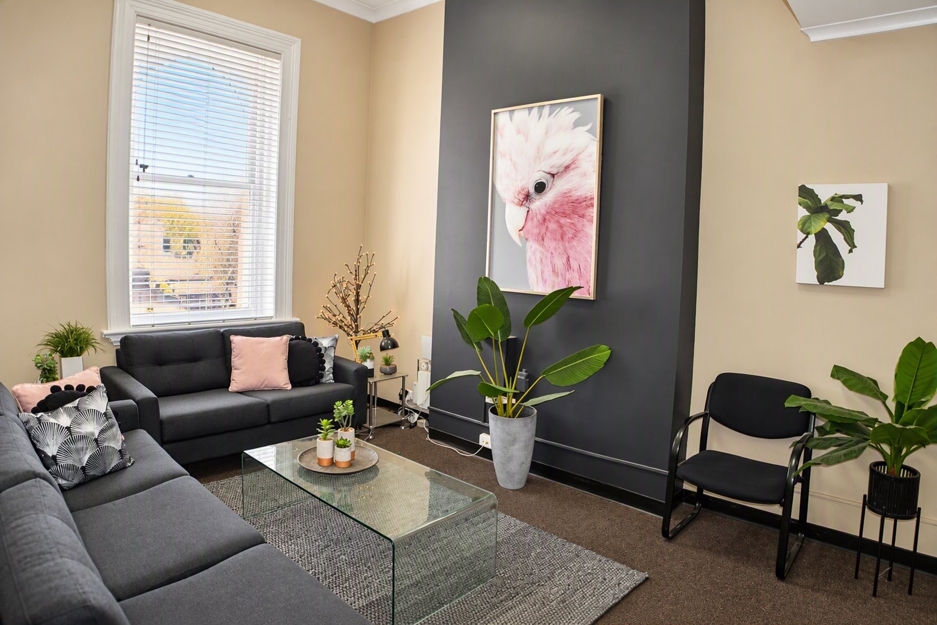 2,4 & 6/116 Macquarie Street, Dubbo, NSW, 2830