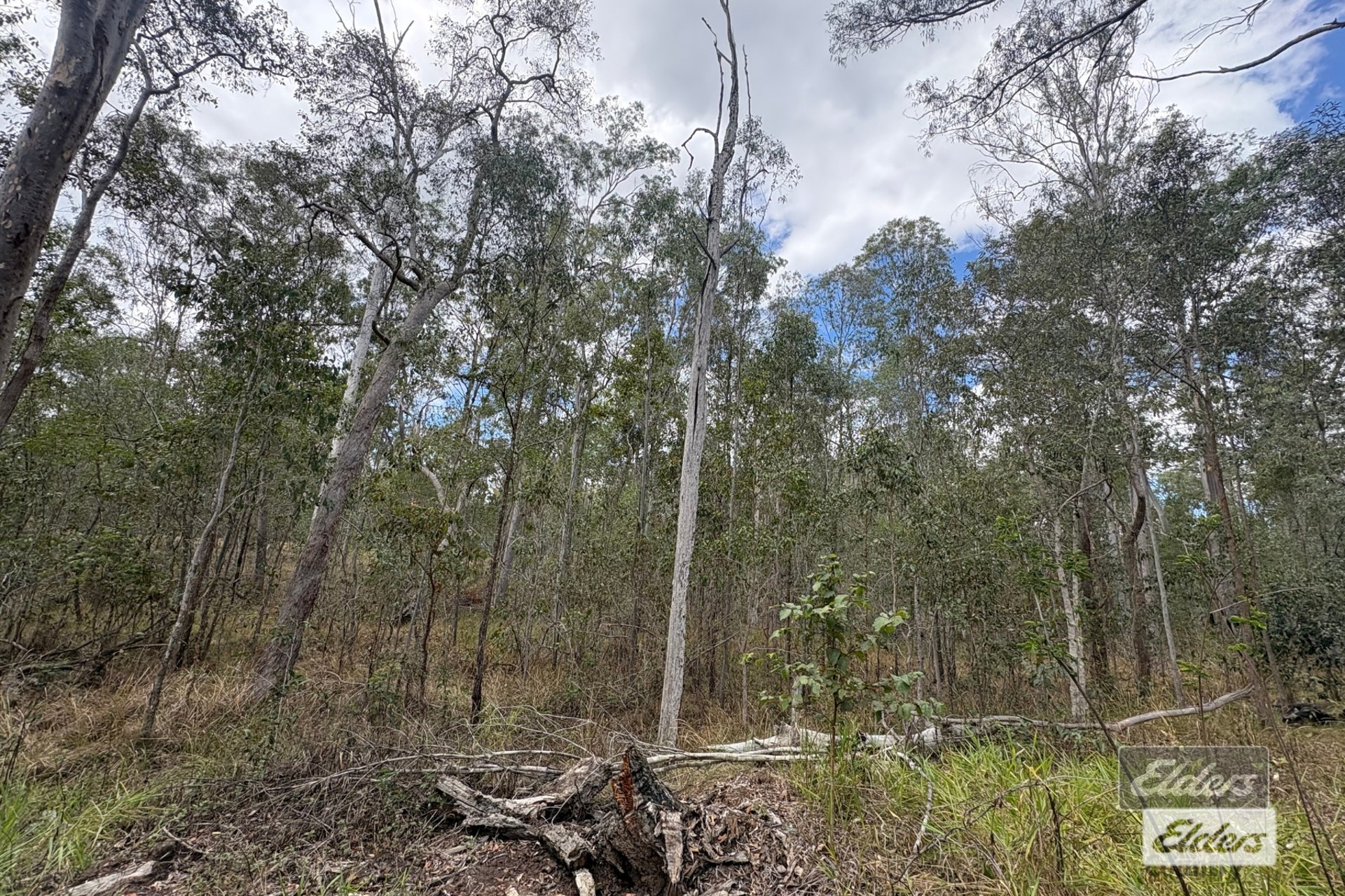 71 Arbortwenty Eight Road, Glenwood For Sale by Farmbuy.com - image 19