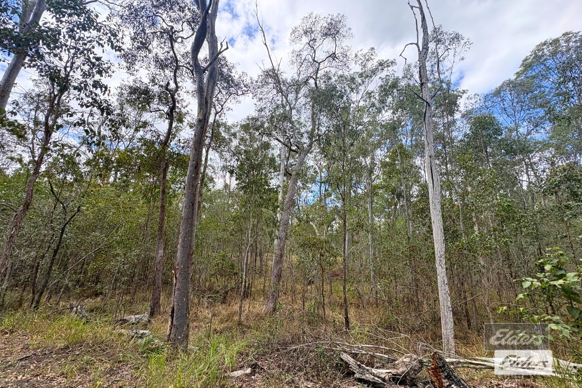 71 Arbortwenty Eight Road, Glenwood For Sale by Farmbuy.com - image 20