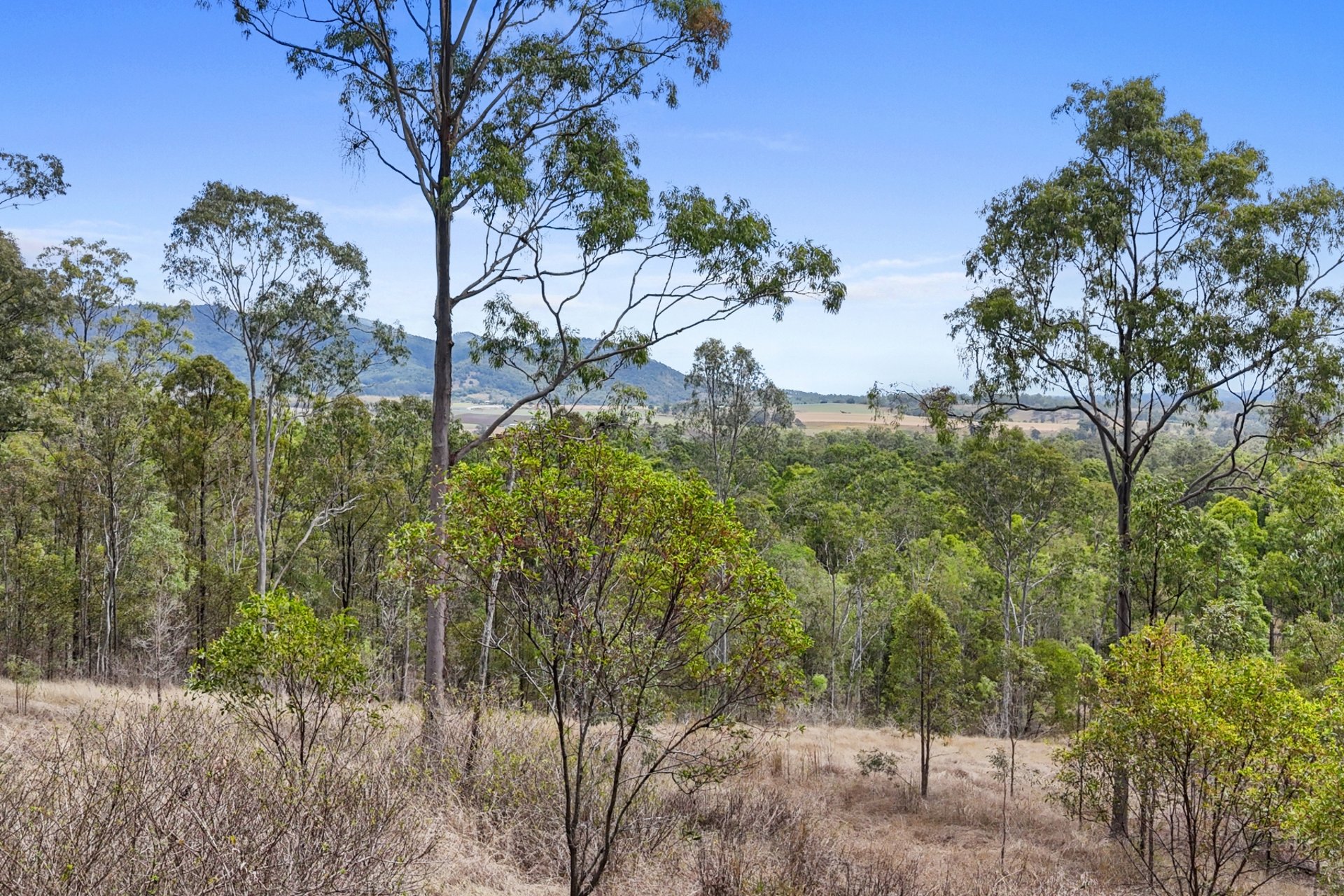 Lot 173 Connors Road, Bauple, QLD, 4650