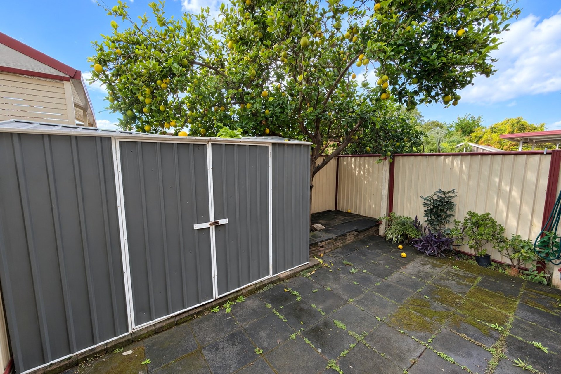 5/55 Chiswick Road — photo 7 of 7