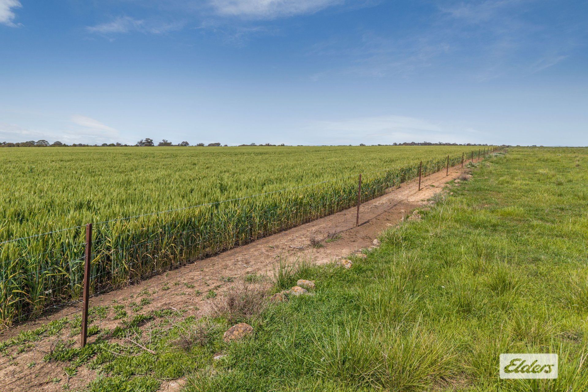 Baringhup Road, Baringhup, VIC, 3463