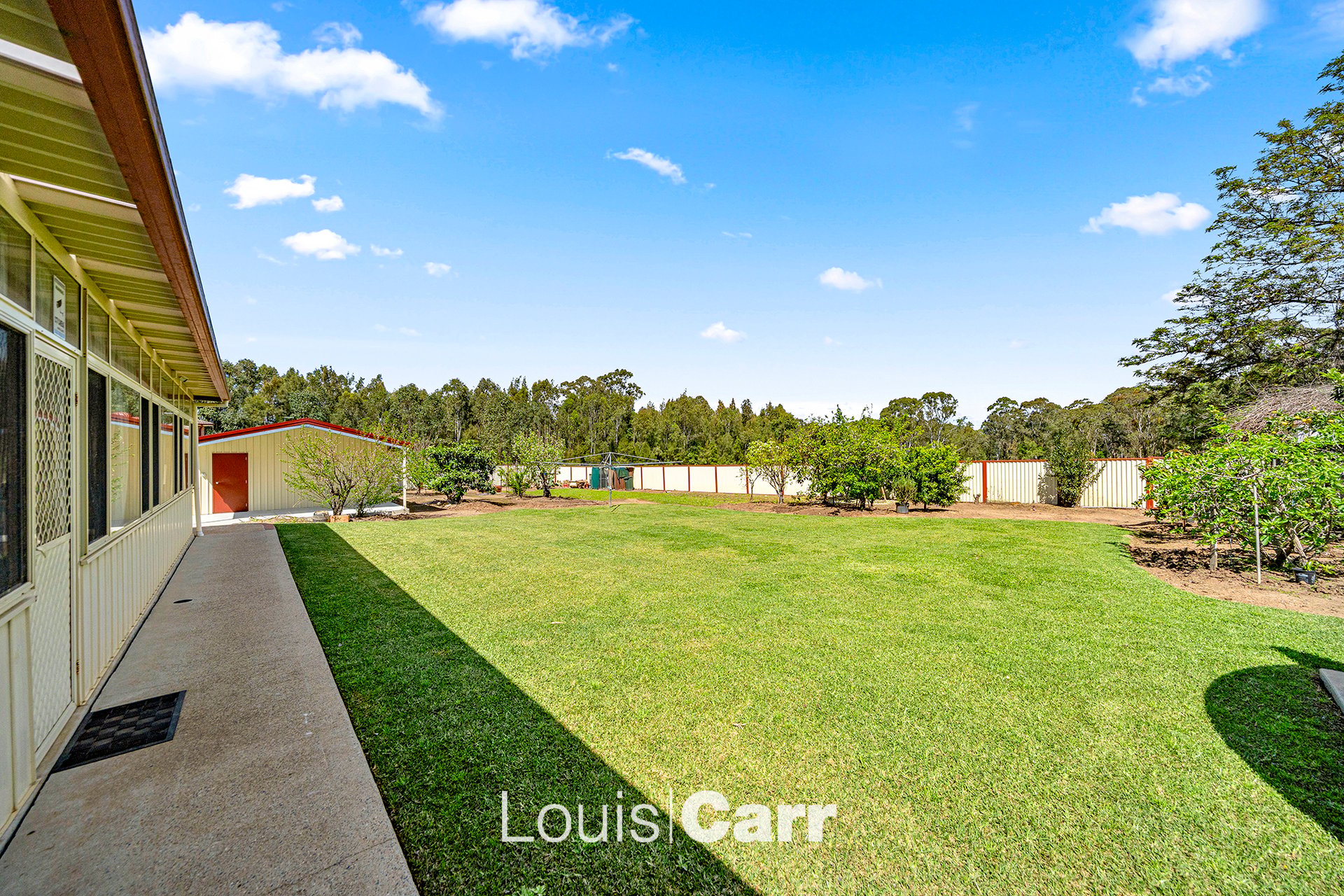126 Walker Street, Quakers Hill For Sale by Louis Carr Real Estate - image 5
