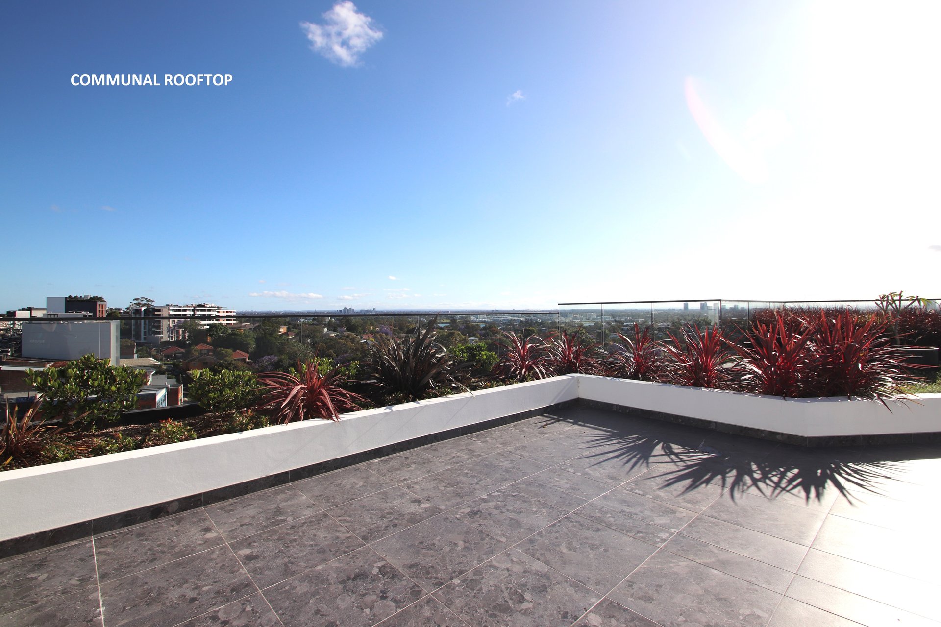 G01/312 Victoria Road, Gladesville For Lease by Cassidy Real Estate - image 1