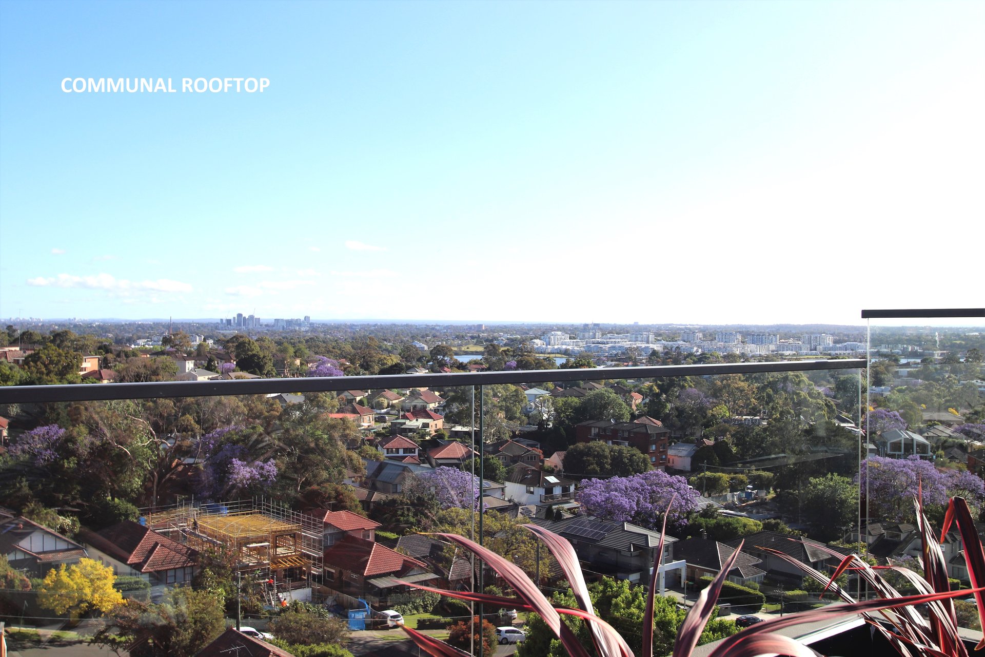 G01/312 Victoria Road, Gladesville For Lease by Cassidy Real Estate - image 1