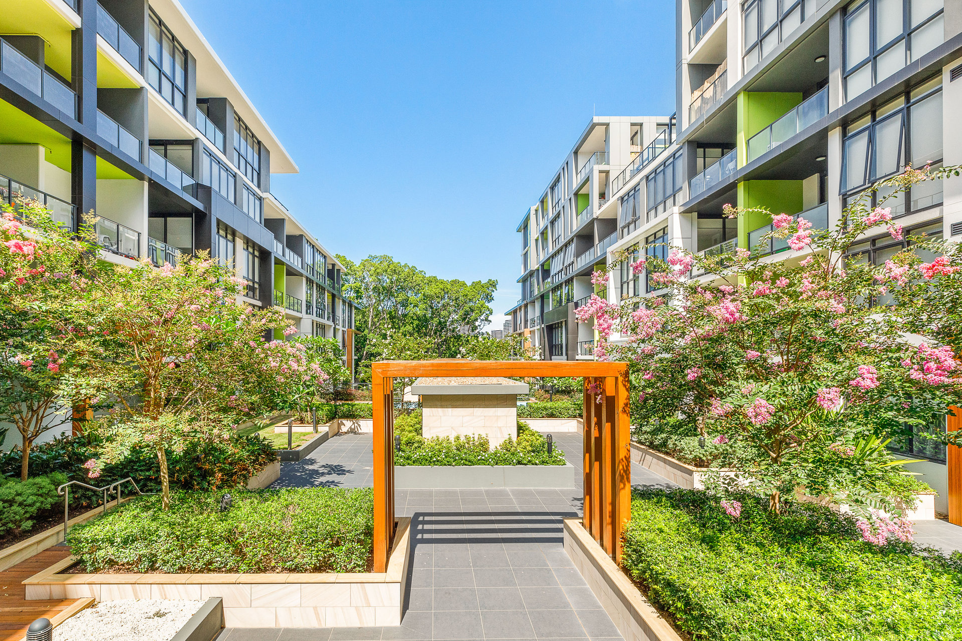 B303/41-45 Belmore Street, Ryde For Lease by Cassidy Real Estate - image 1