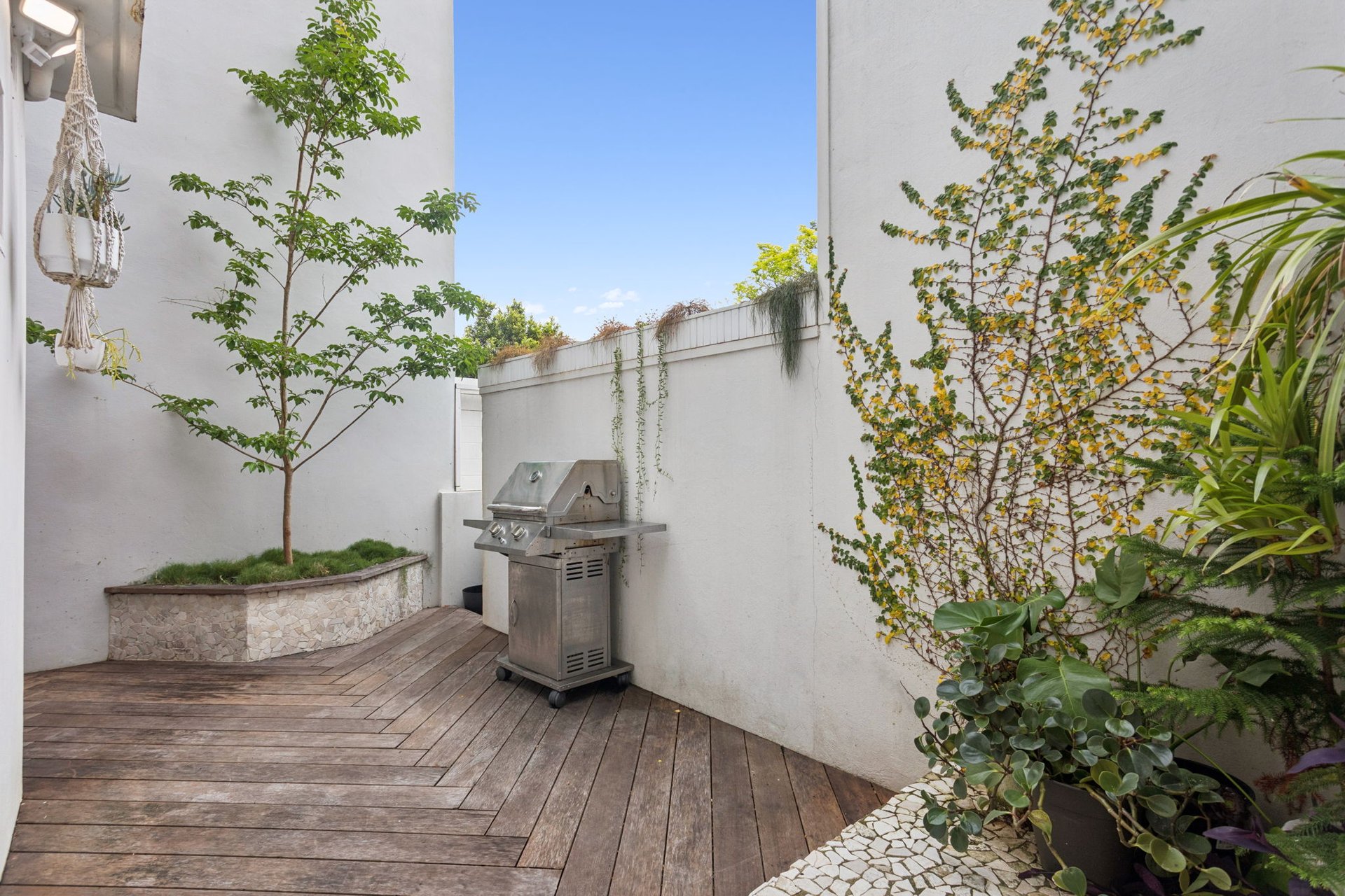 25 Renny Street, Paddington For Lease by Ballard Property - image 4