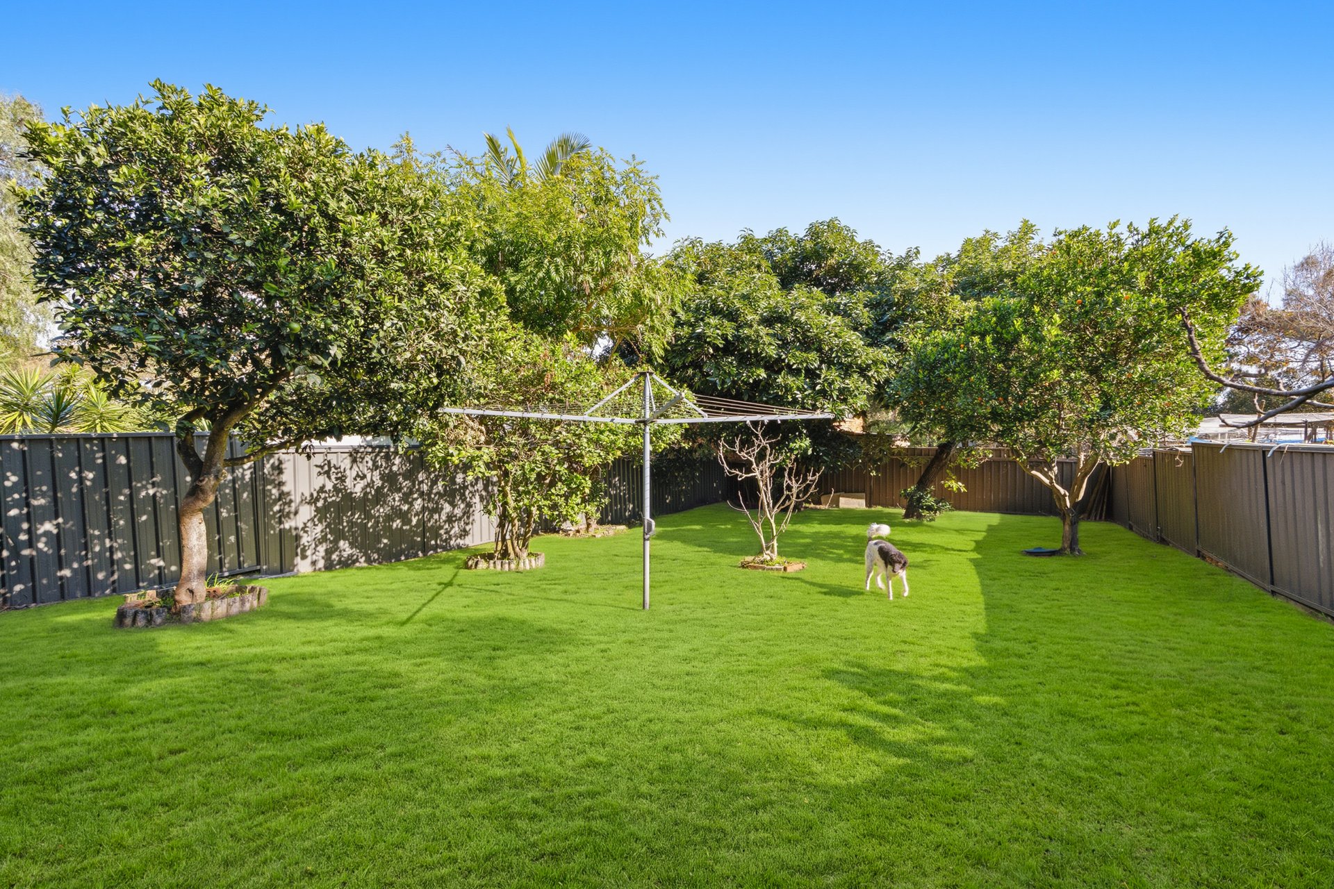 168  Botany Street, Kingsford Auction by Sydney Sotheby's International Realty - image 9