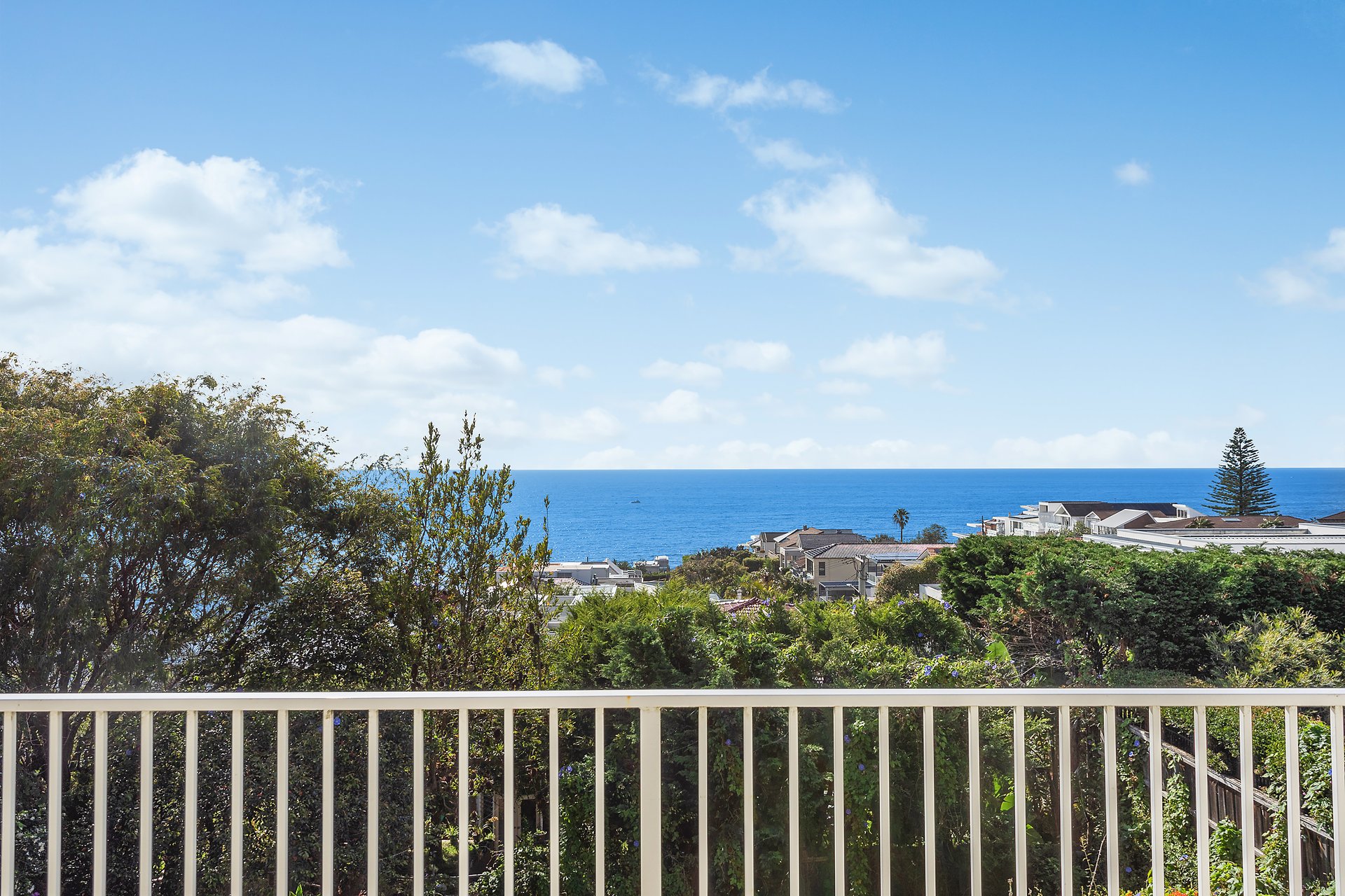 77 Denning Street, South Coogee Auction by Sydney Sotheby's International Realty - image 2