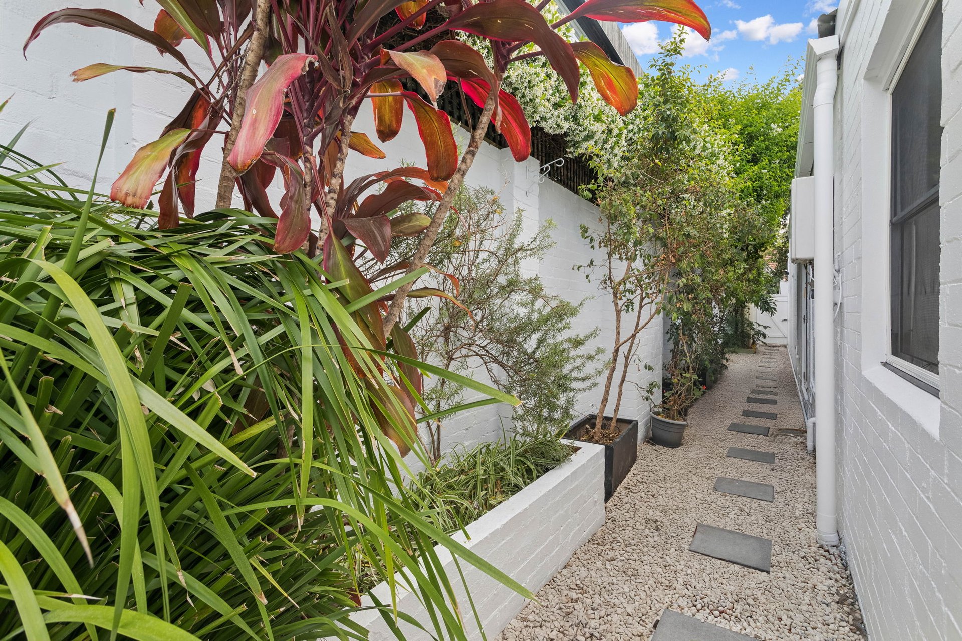 9 Harkness Street, Woollahra For Lease by Ballard Property - image 5