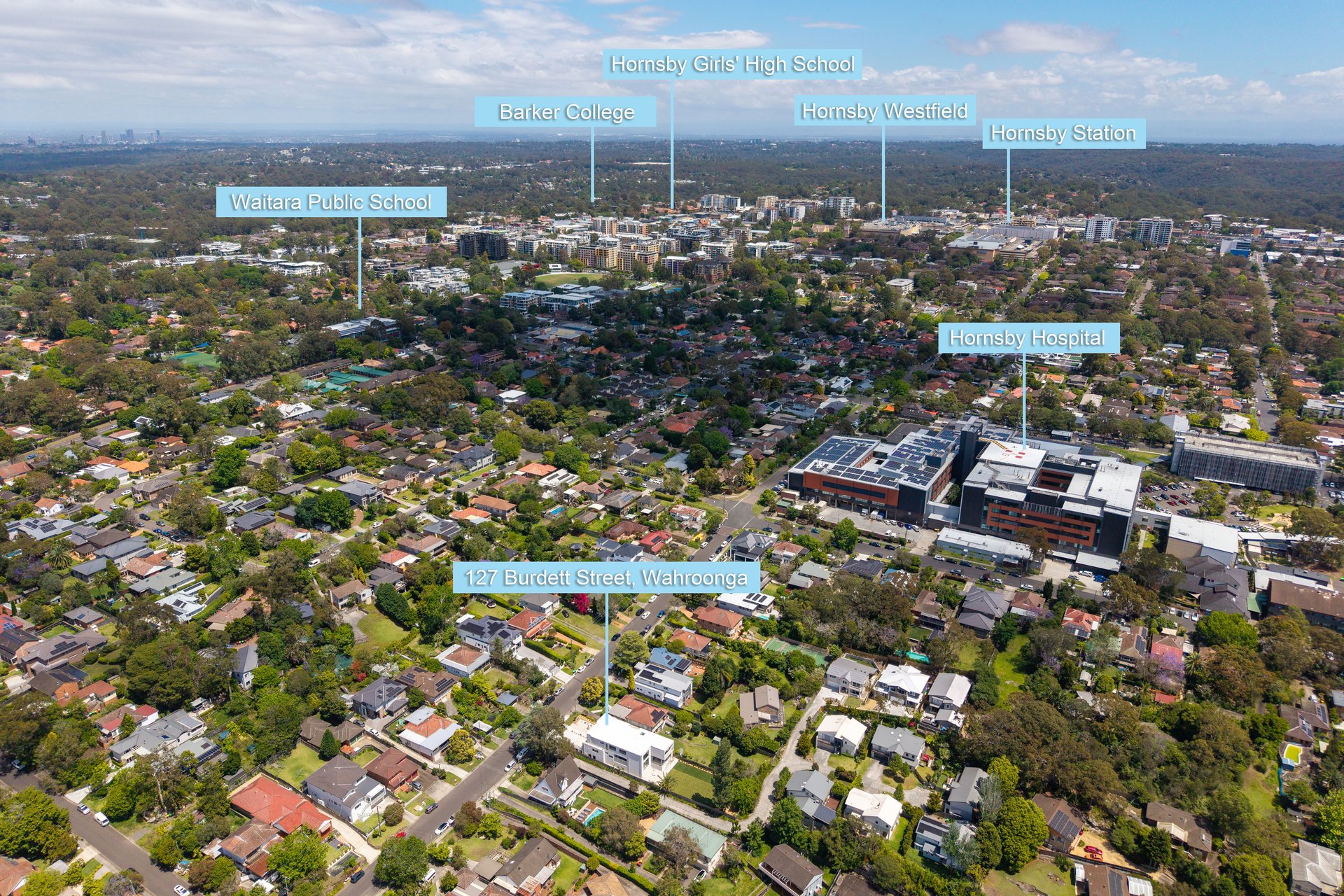 127 Burdett Street, Wahroonga Auction by The Marshall Group - image 22