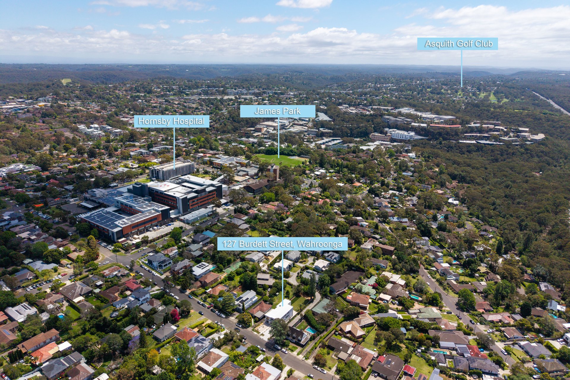 127 Burdett Street, Wahroonga Auction by The Marshall Group - image 23