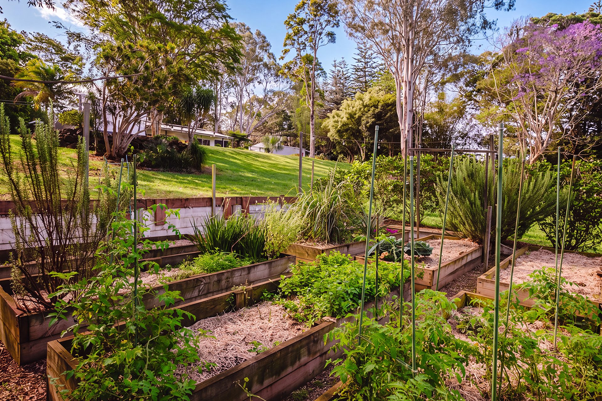 245 Friday Hut Road, Tintenbar For Sale by Byron Bay Sotheby's International Realty - image 1