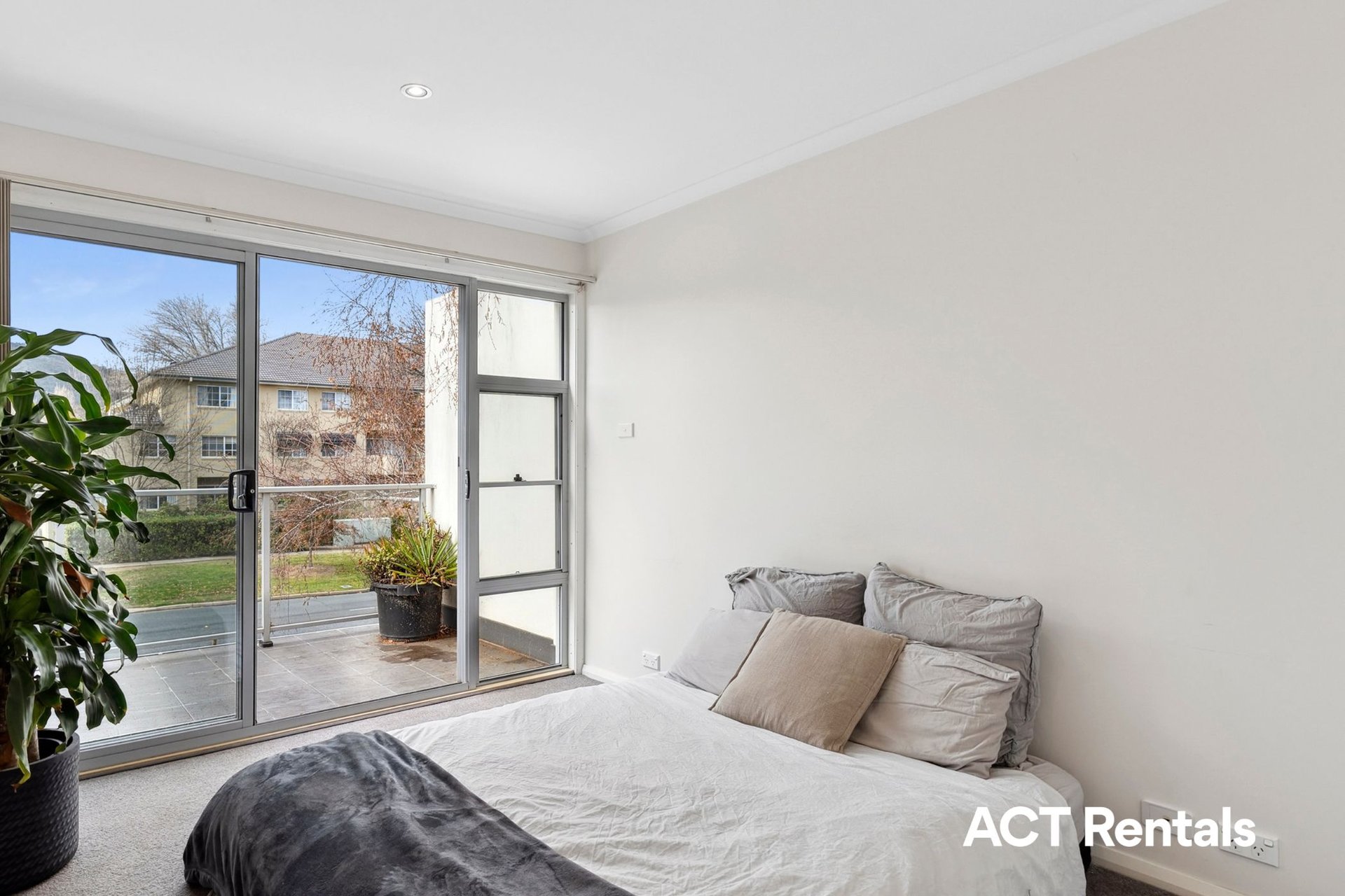 2/71 Torrens Street Braddon