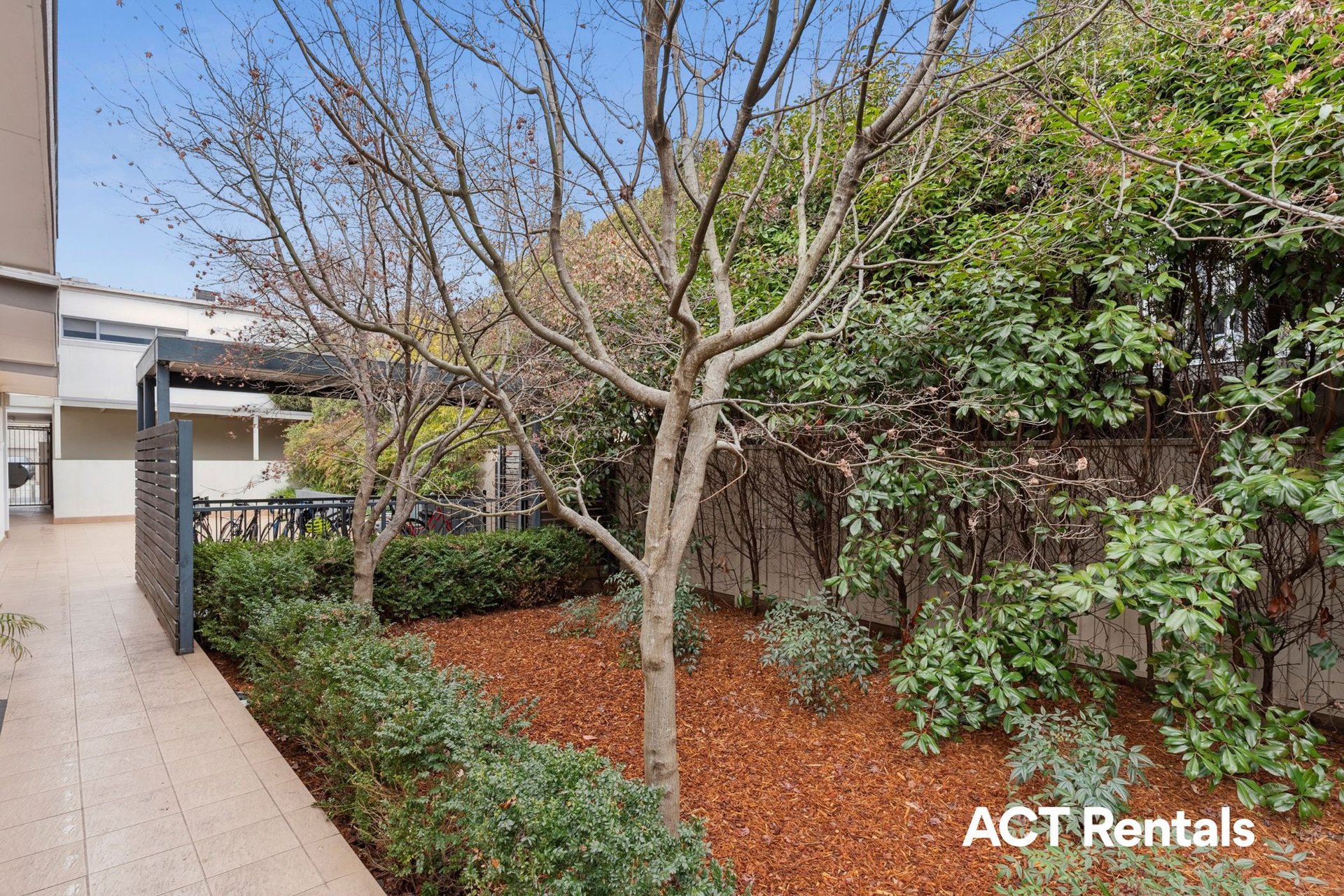 2/71 Torrens Street Braddon