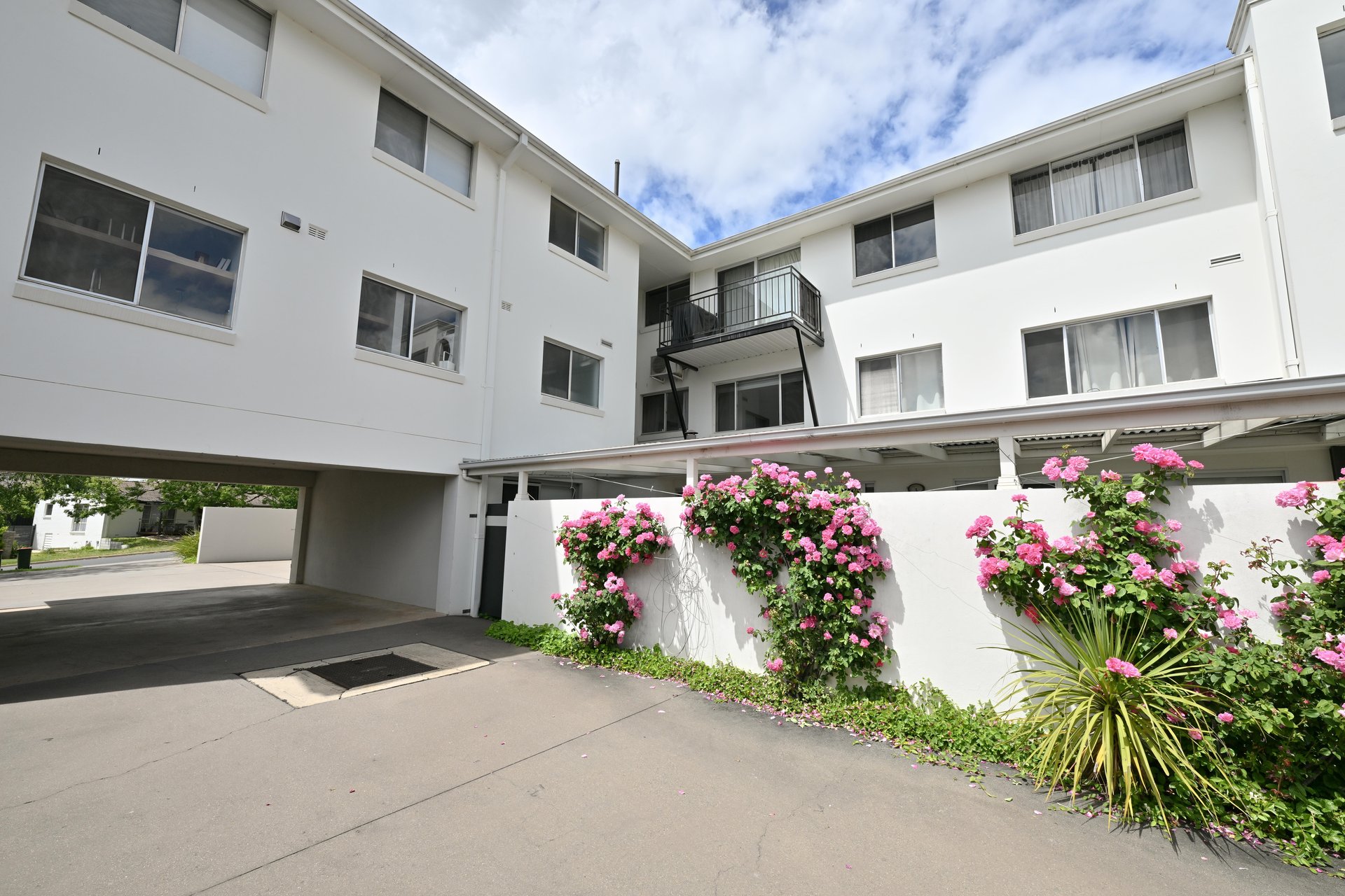 6/16 Discovery Street, Red Hill For Sale by Sydney Sotheby's International Realty - image 11