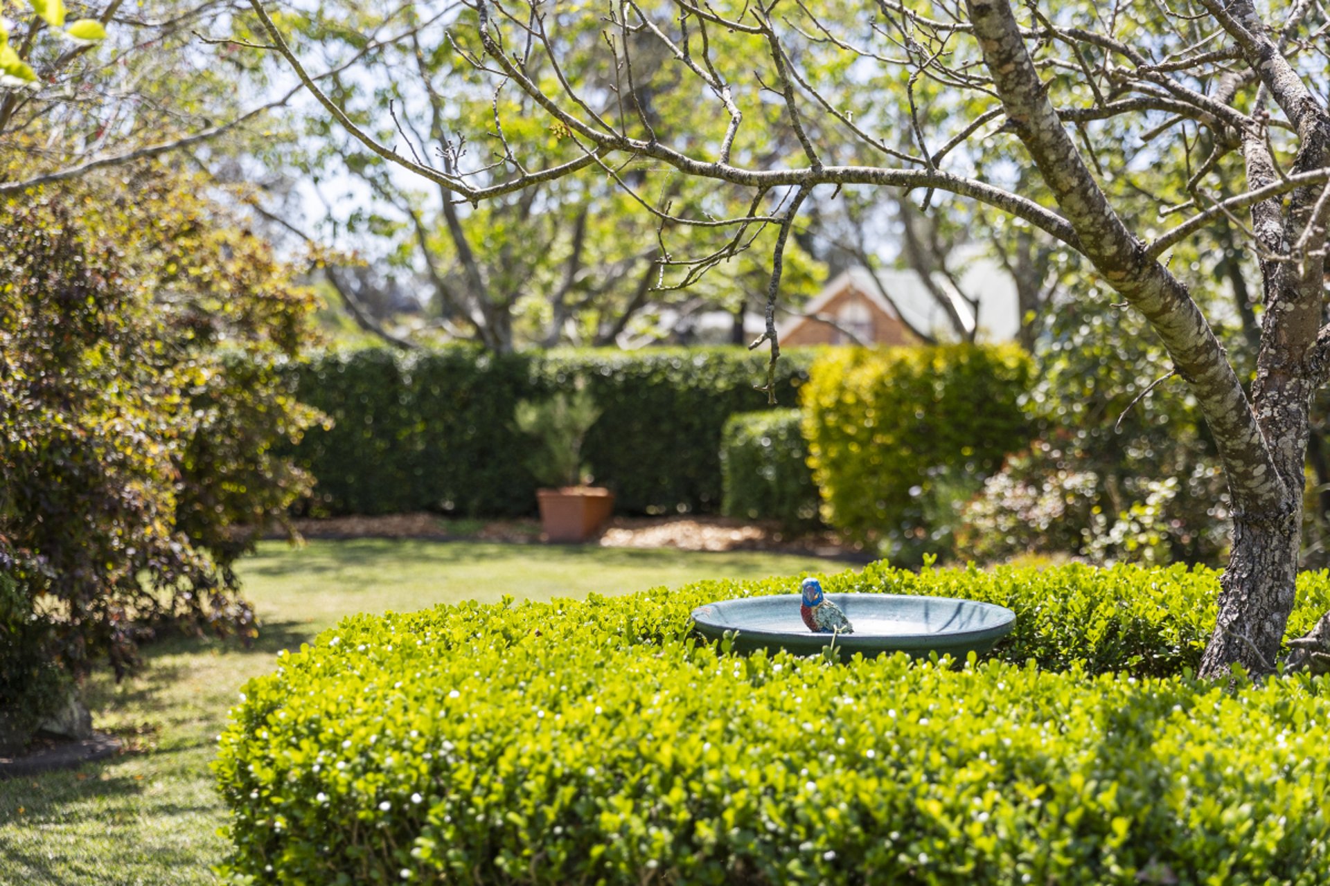 4 Arcadia Close, Bolwarra Heights For Sale by The Agency Hunter Valley - image 30