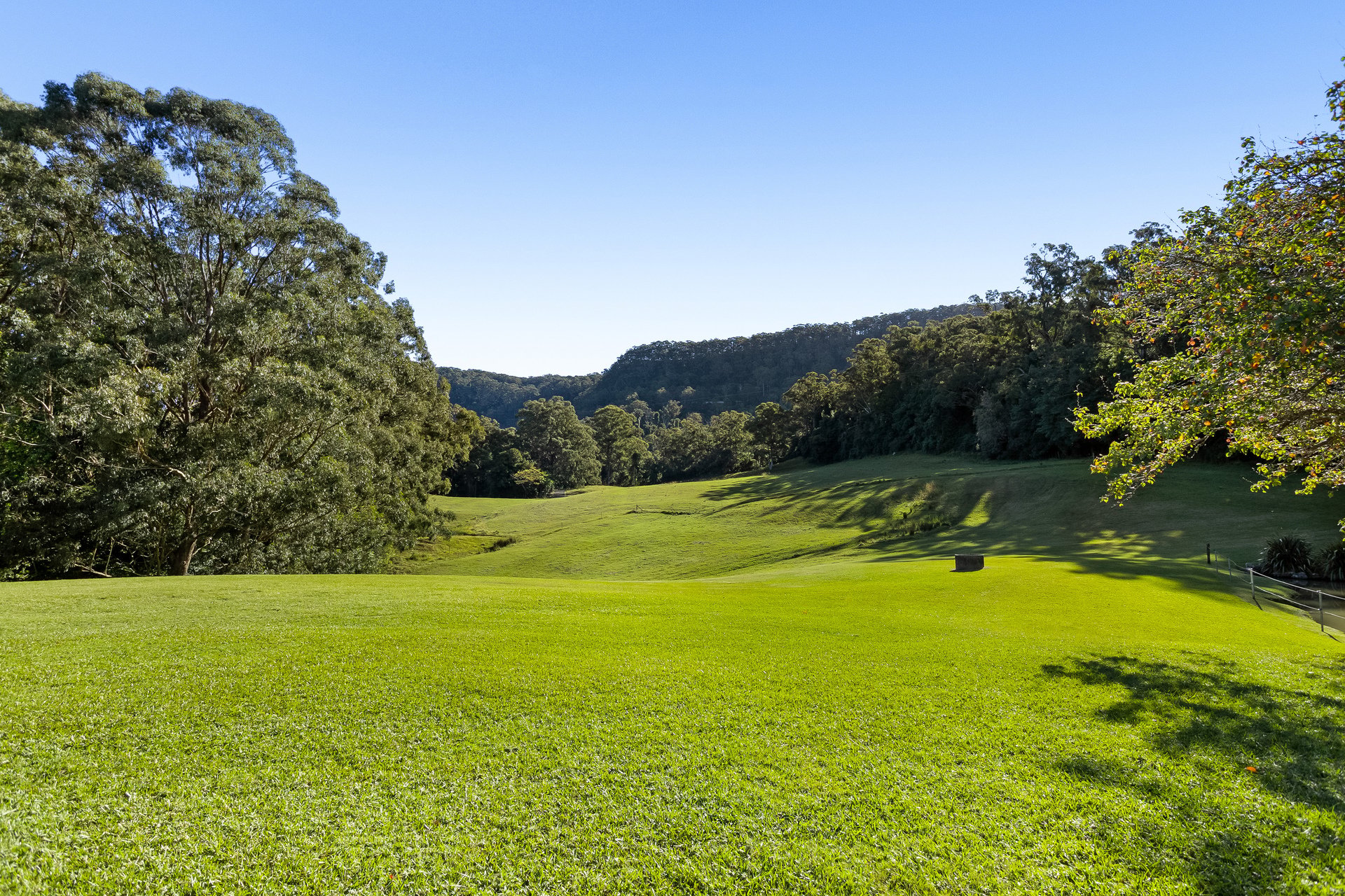 281 Paynes Road, Dombarton Sold by Sydney Sotheby's International Realty - image 17