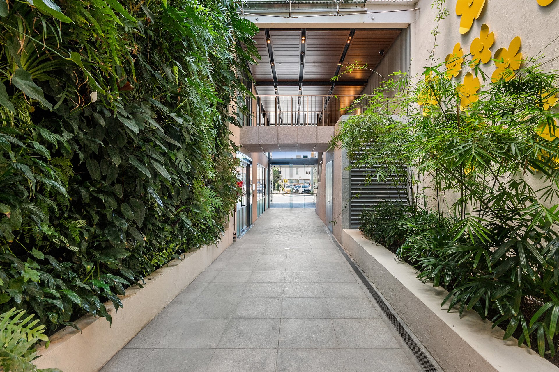 1003/300 Oxford Street, Bondi Junction Auction by Bradfield Badgerfox - image 1