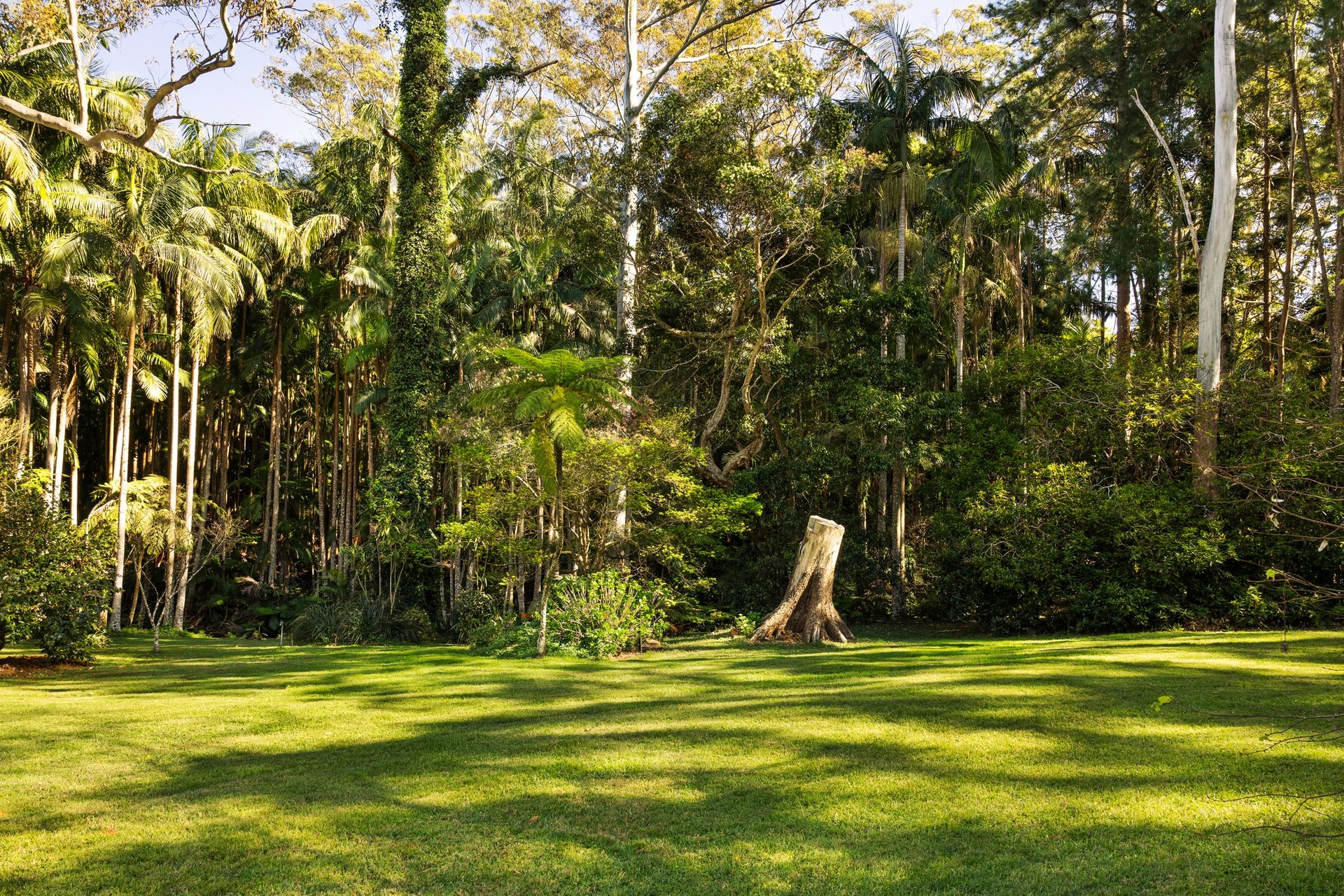 37 Yuulong Road Tamborine Mountain