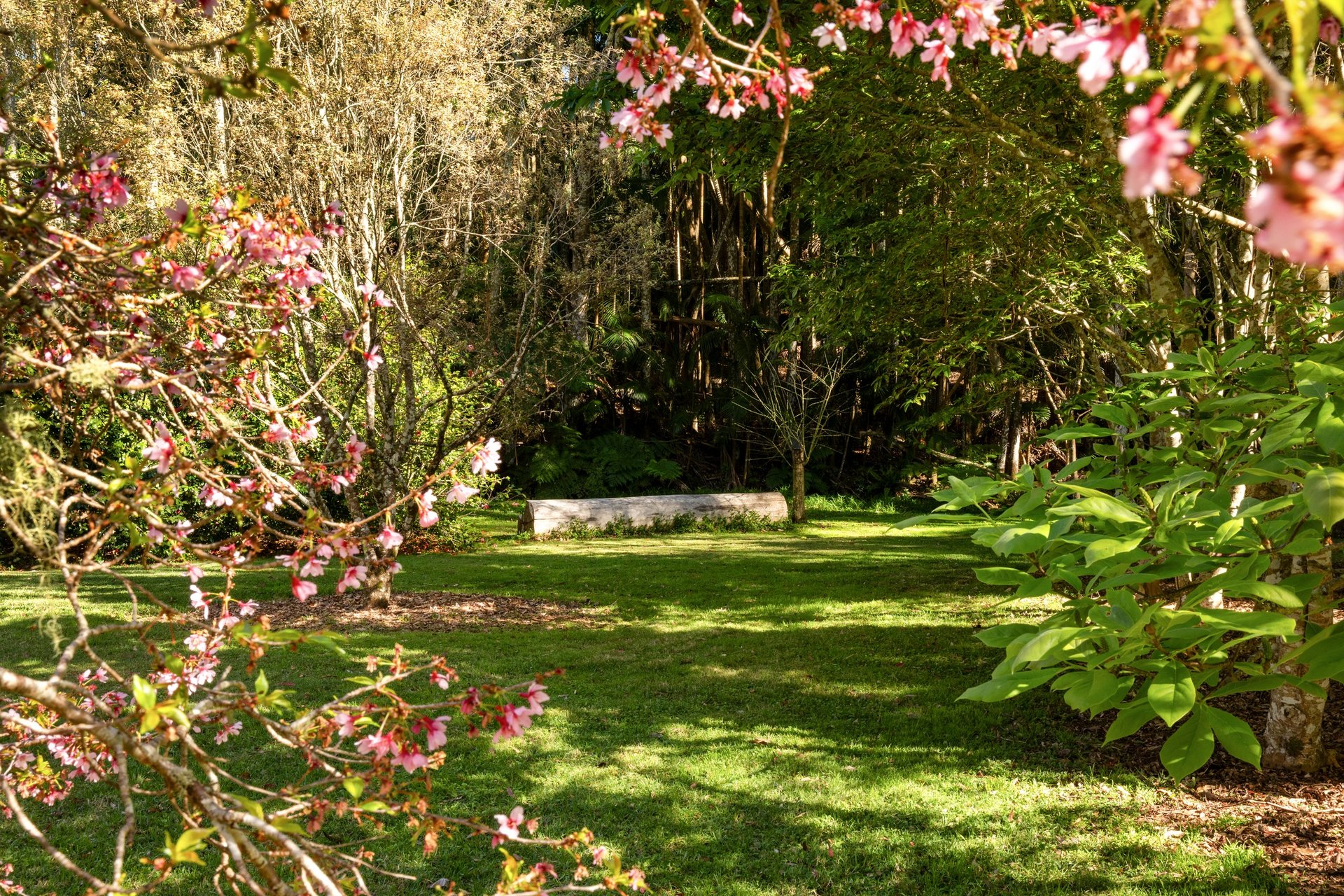 37 Yuulong Road Tamborine Mountain
