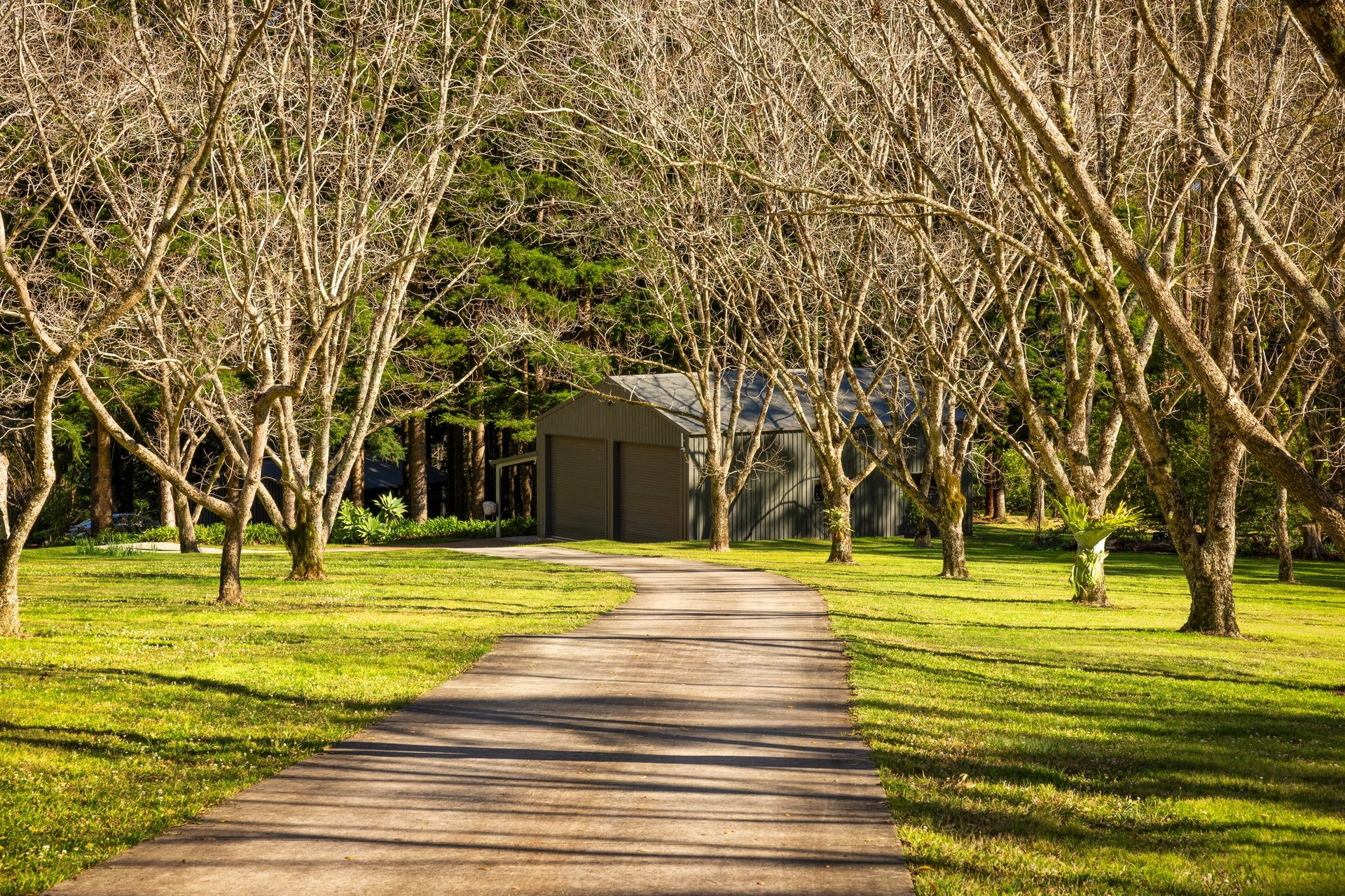 37 Yuulong Road Tamborine Mountain